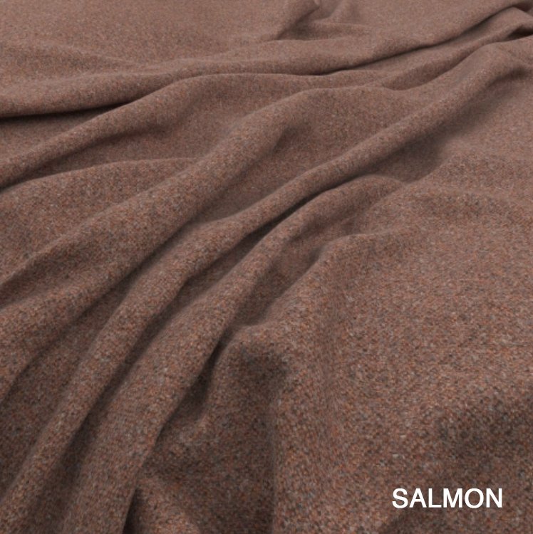 SALMON copy.jpg