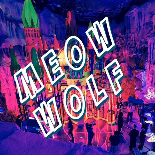 CAMP MEOW WOLF