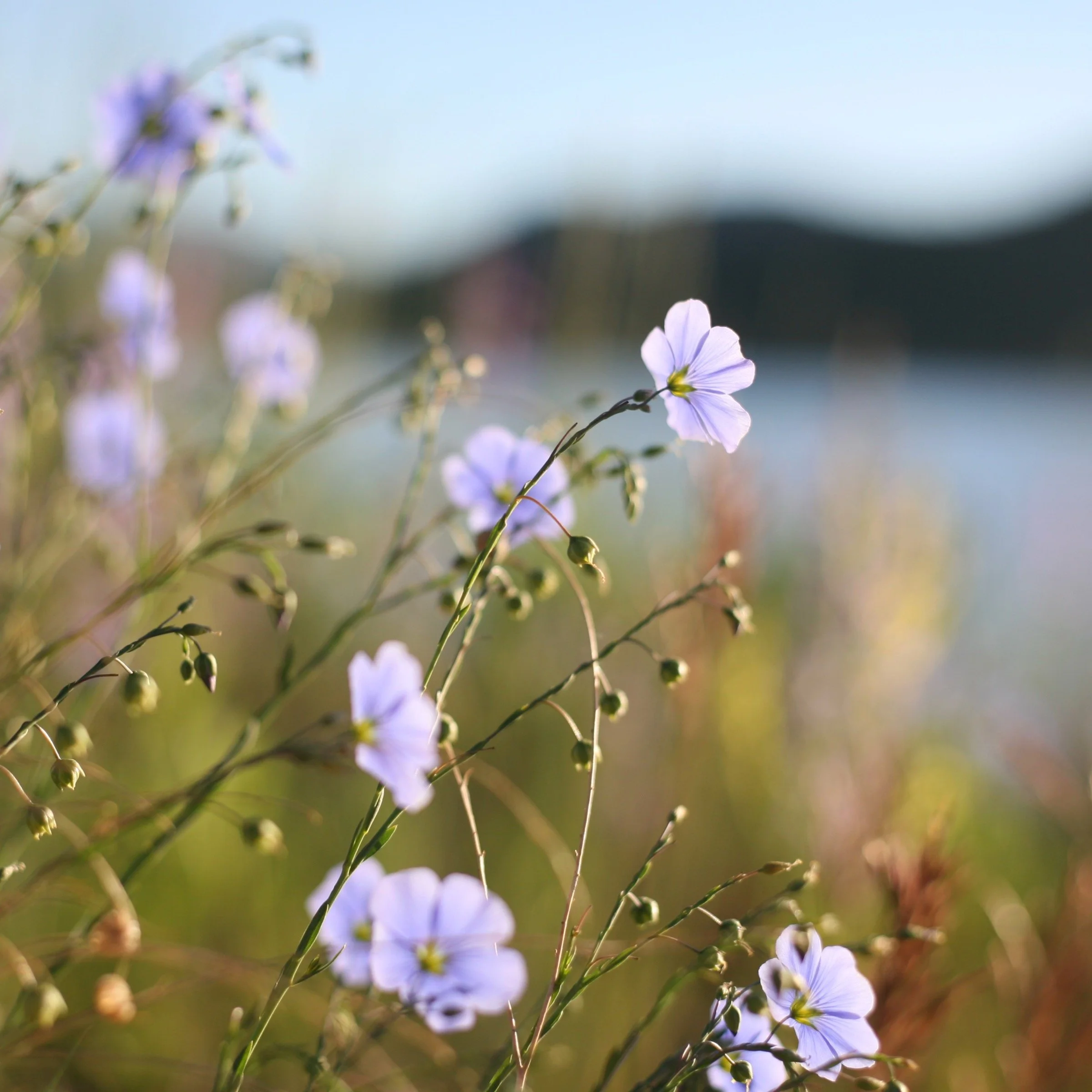 Abbie Graham, Estes Park. 2022. Photography.