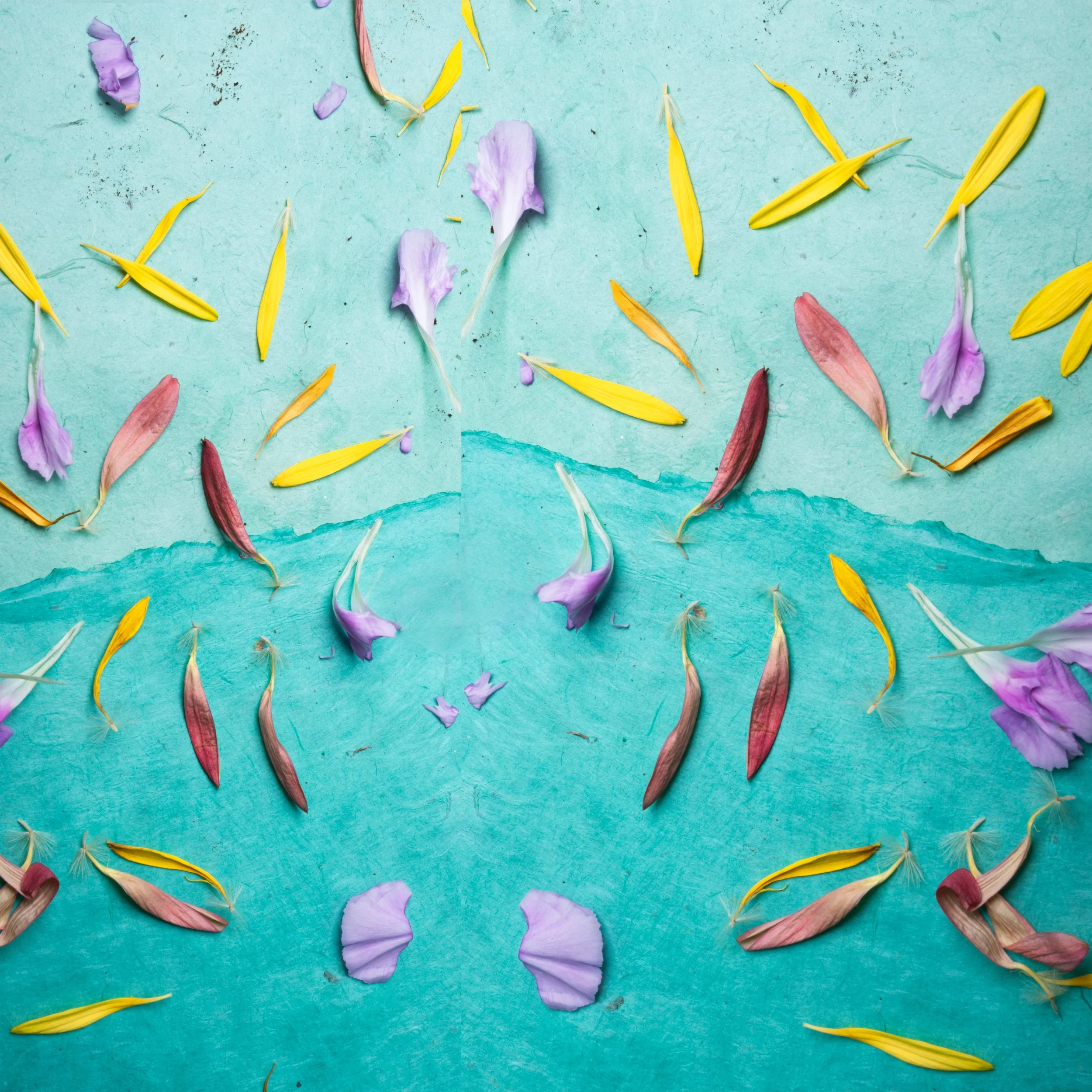 Kris Hodson Moore, Like Rain. Photography.