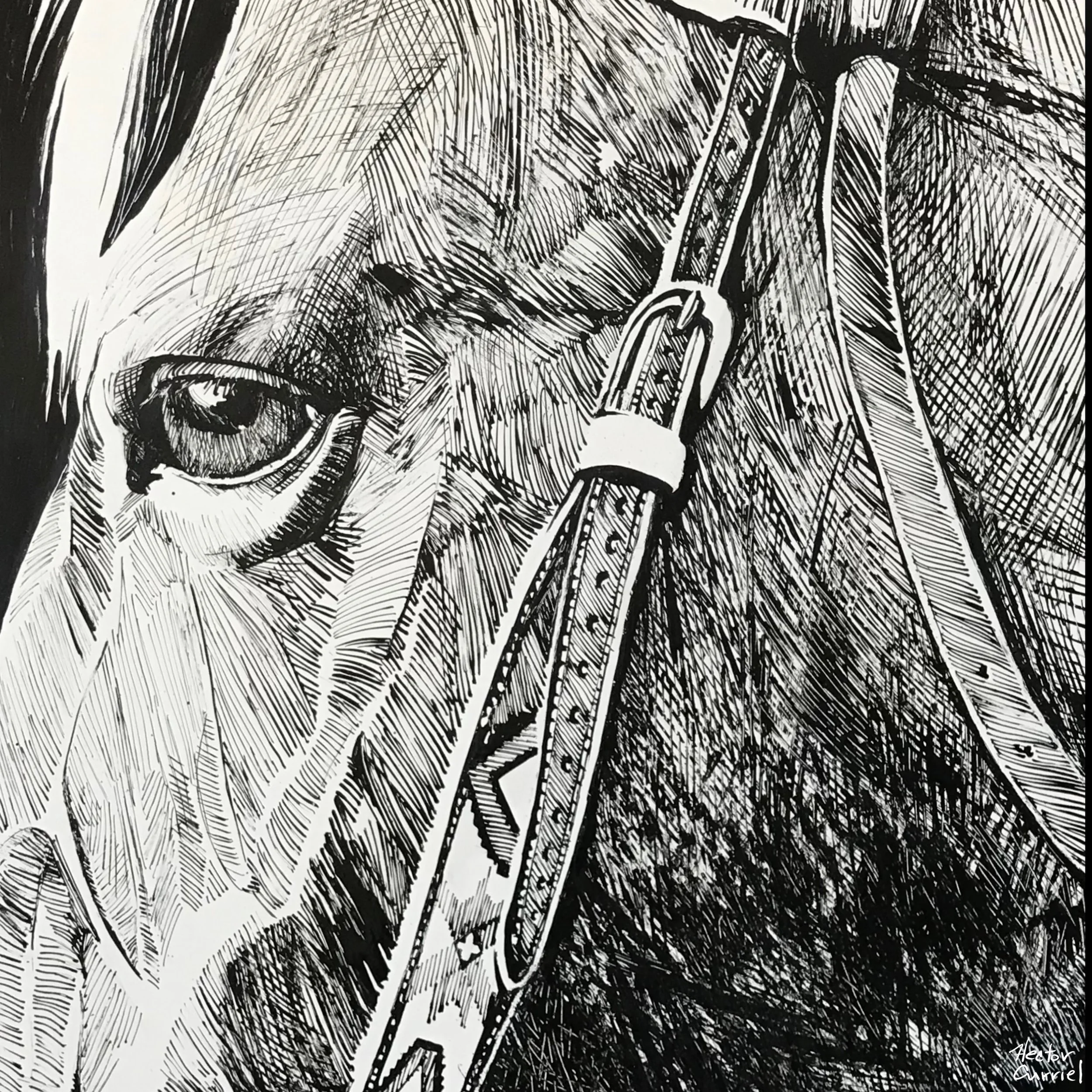 Hector Curriel, Maggie. 2018. Ink.