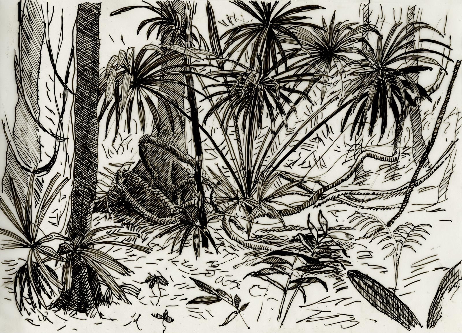 Bosque en Tikal