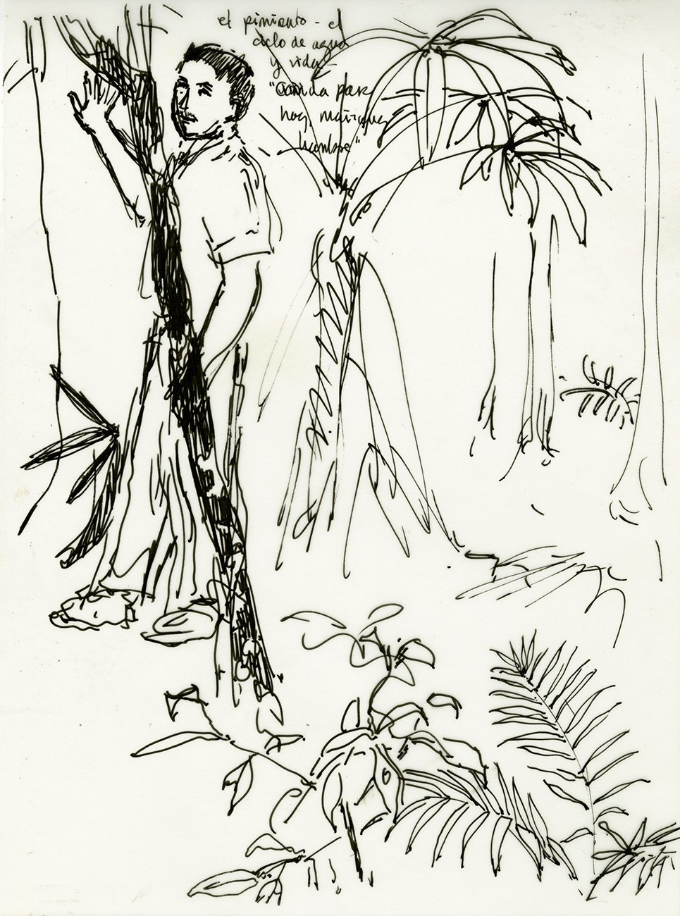 Extensionista explicando plantas forestales