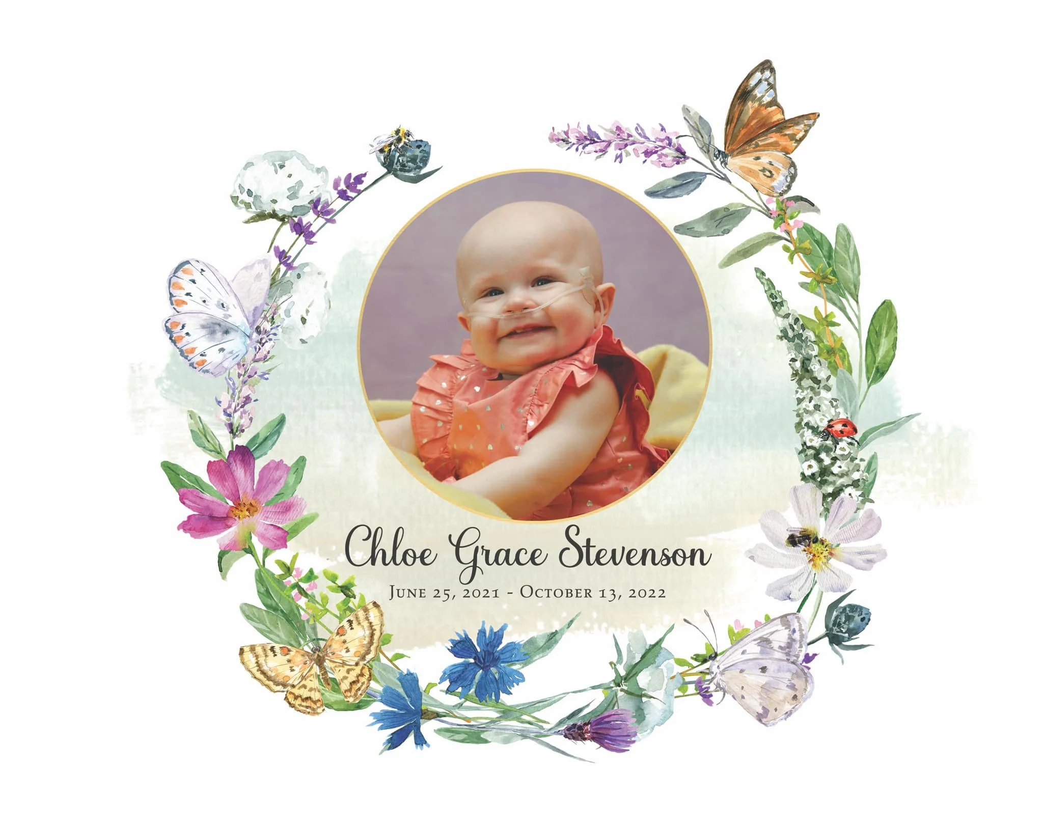 Chloe.jpeg