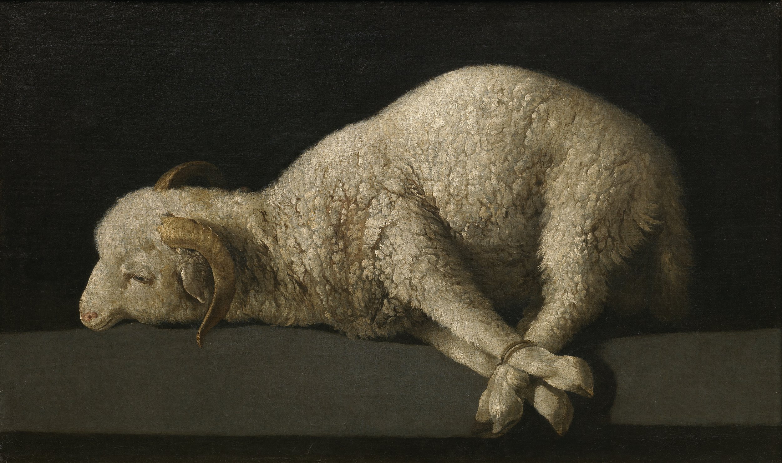 Healing in Hosanna: My Jubilee Passover