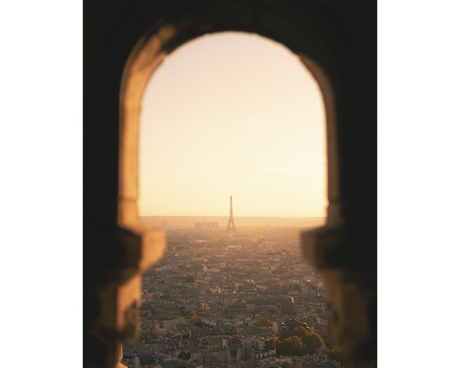 eiffel frame web trim.jpg