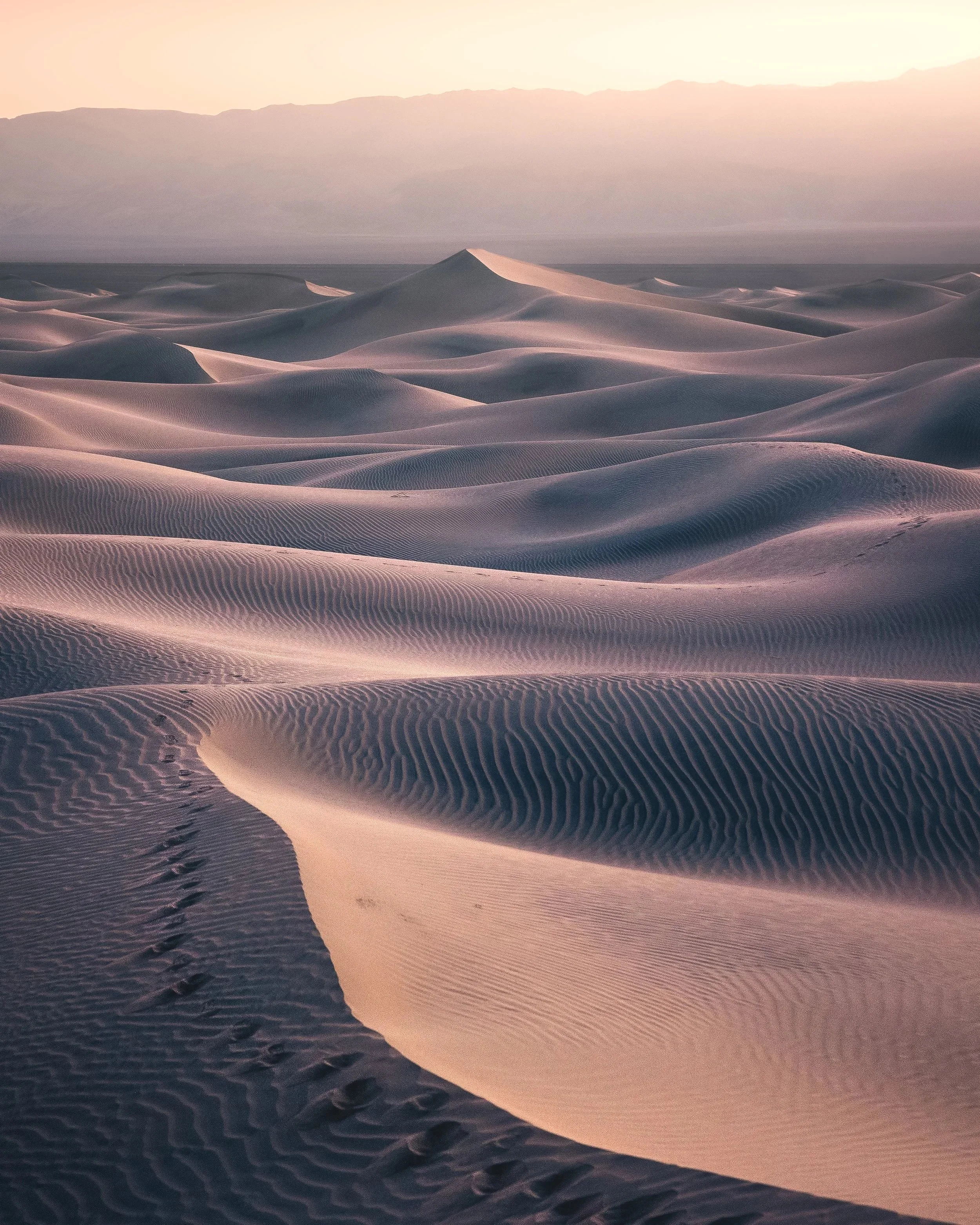 Velvet Dunes (Portrait)