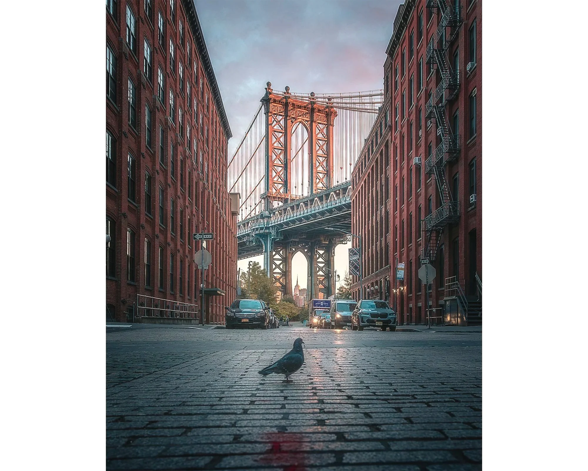 DUMBO+NY+web+trim.jpg
