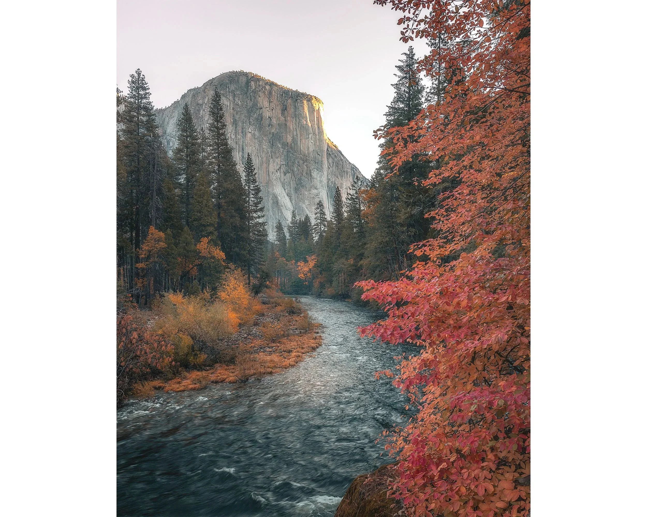 yosemite+river+fall+colors_TRIM.jpg