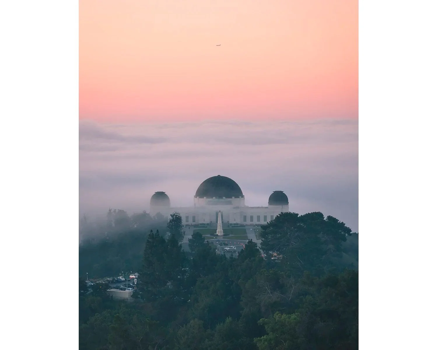 griffith-fog-plane-tall-4x5+trim.jpg