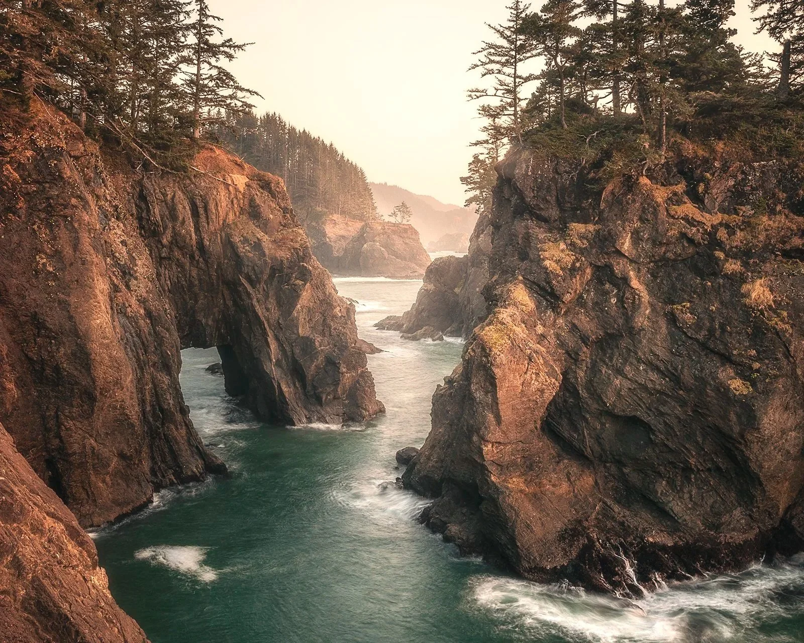 Oregon Coast (Portrait)