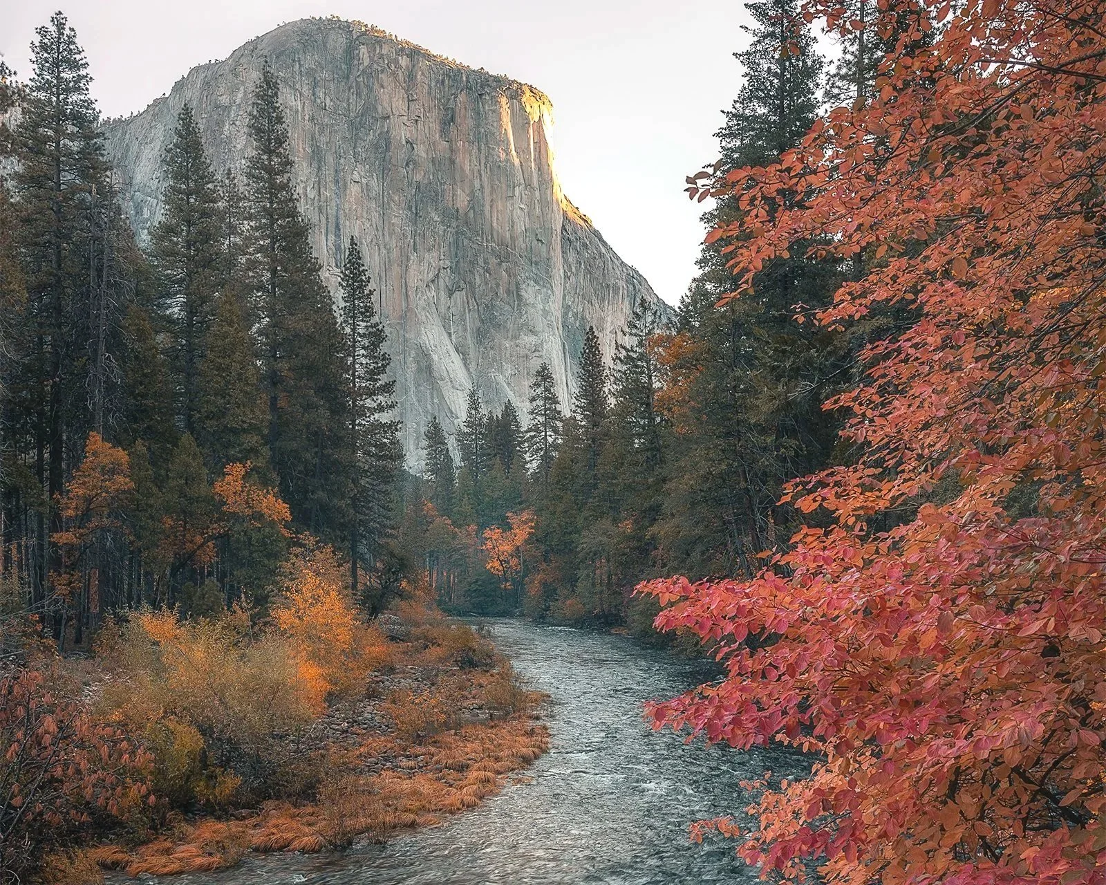 Halloween at Yosemite