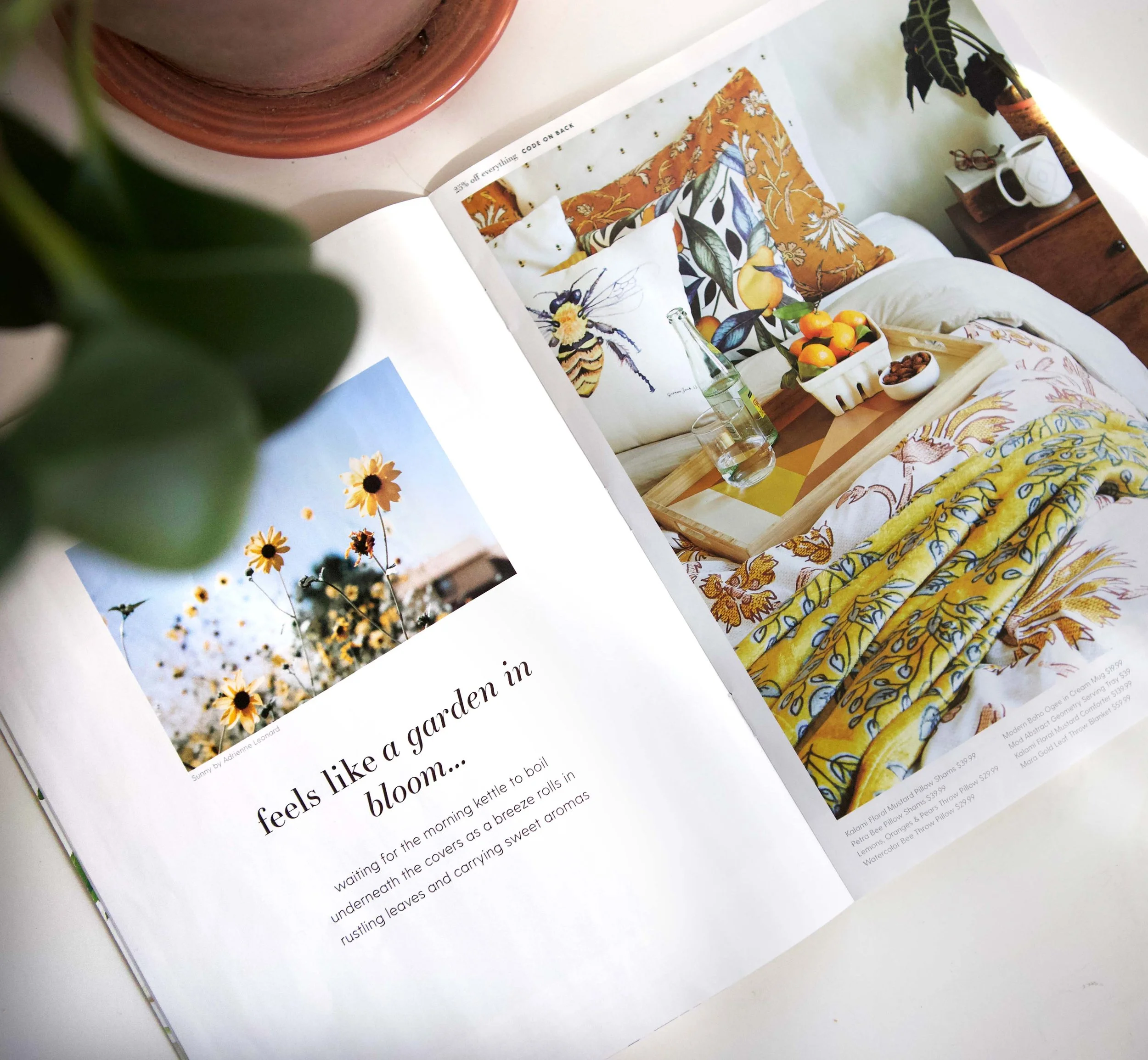 Art Direction & Design, Spring 2020 Campaign. Using S6 artists' work, we created a suite of print, social and video assets that focused on how art can make you feel at home.