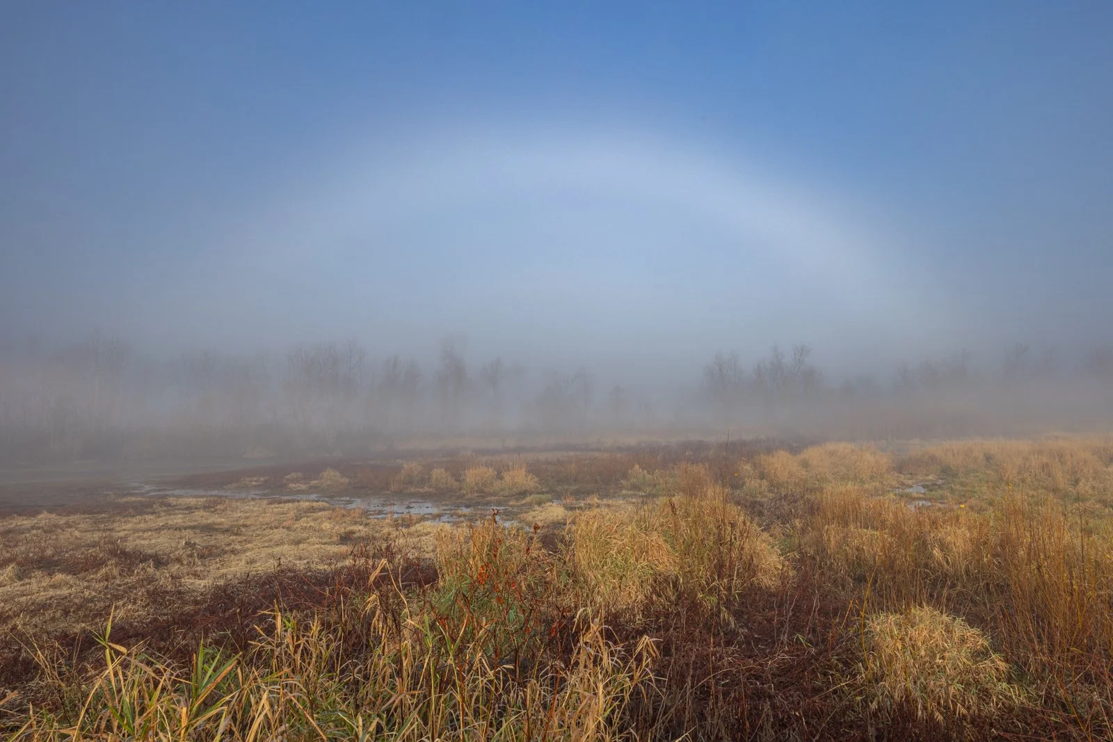 Fogbow, Wickiup HIll #4537