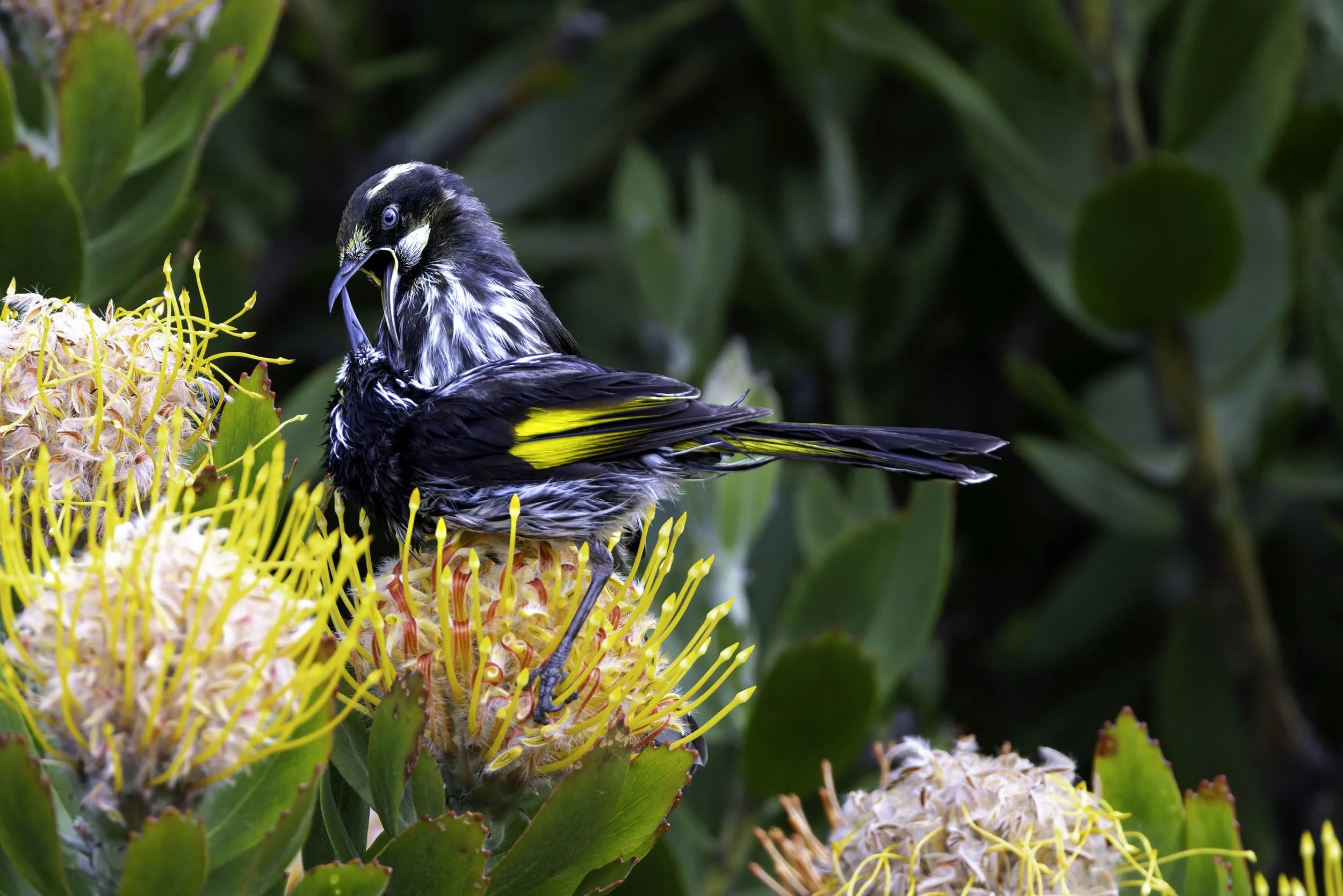 _34A0136 2-CR3_DxO_DeepPRIME.jpg