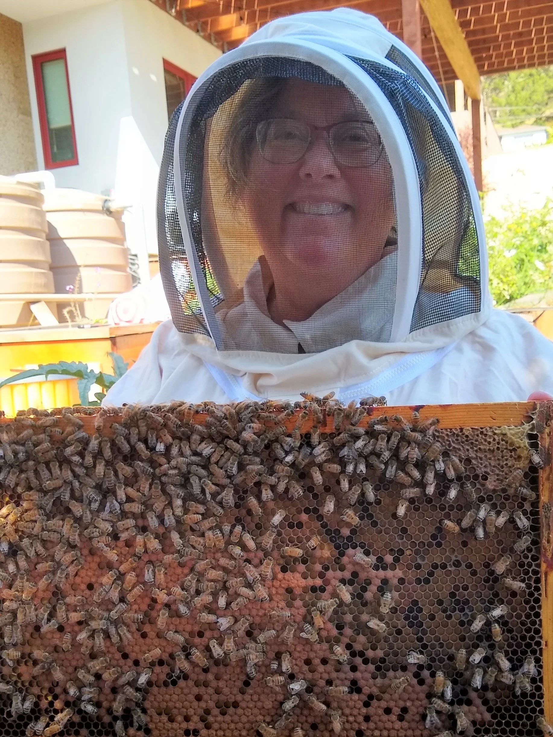 Christine bees.jpg