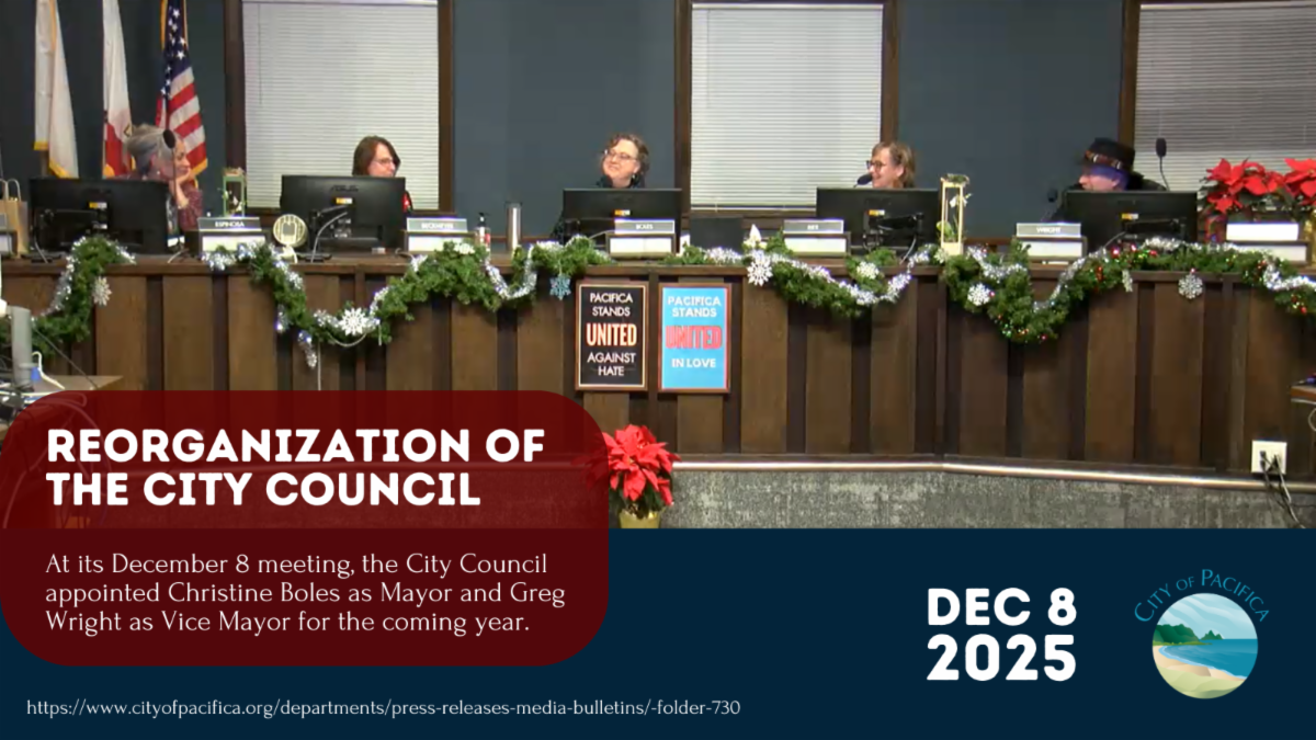 council reorg 2025.png