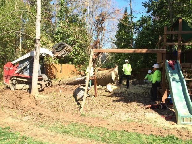 Tree Removal | Roswell, GA — AAA Tree Experts
