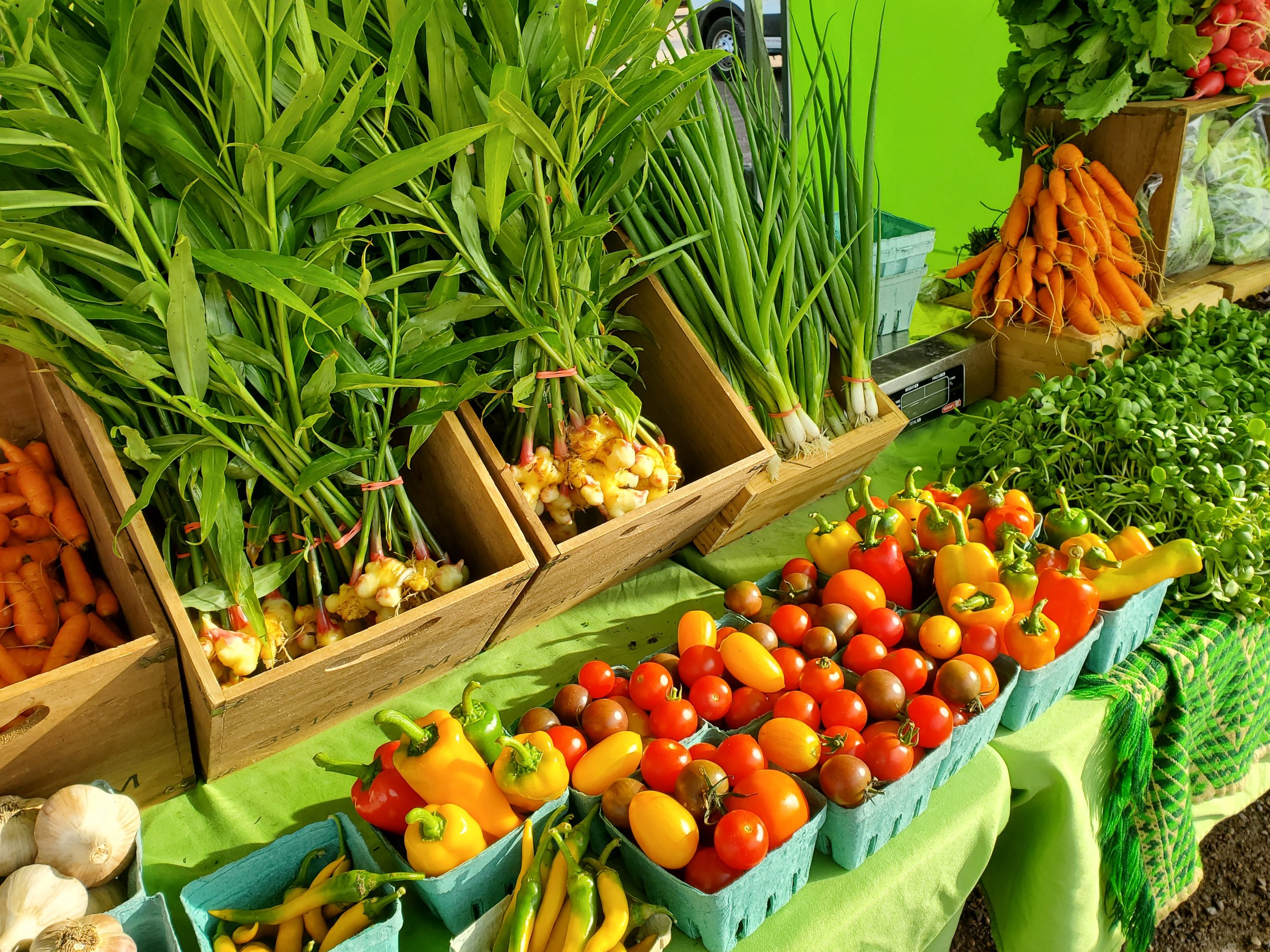 farmstand.jpg