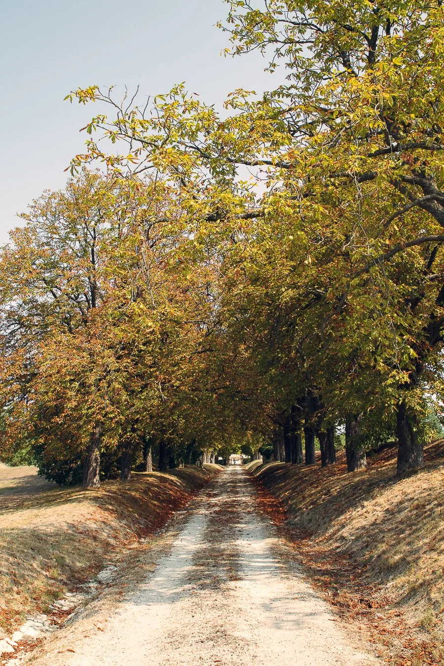 provence21-1.jpg