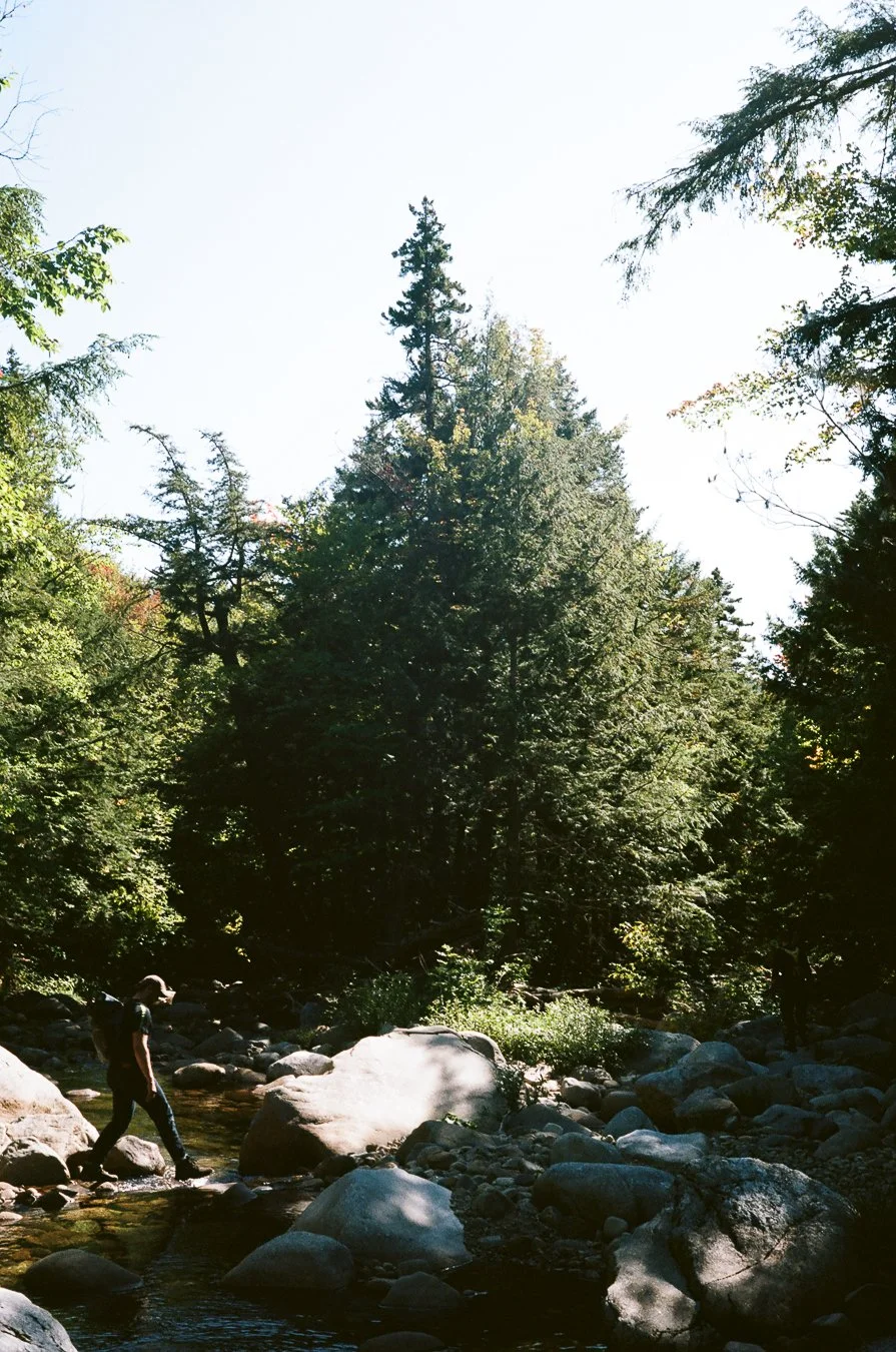 mountainpond-16.jpg