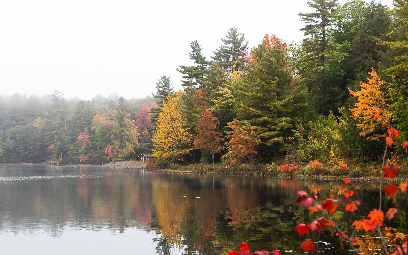 foliage2021-10.jpg