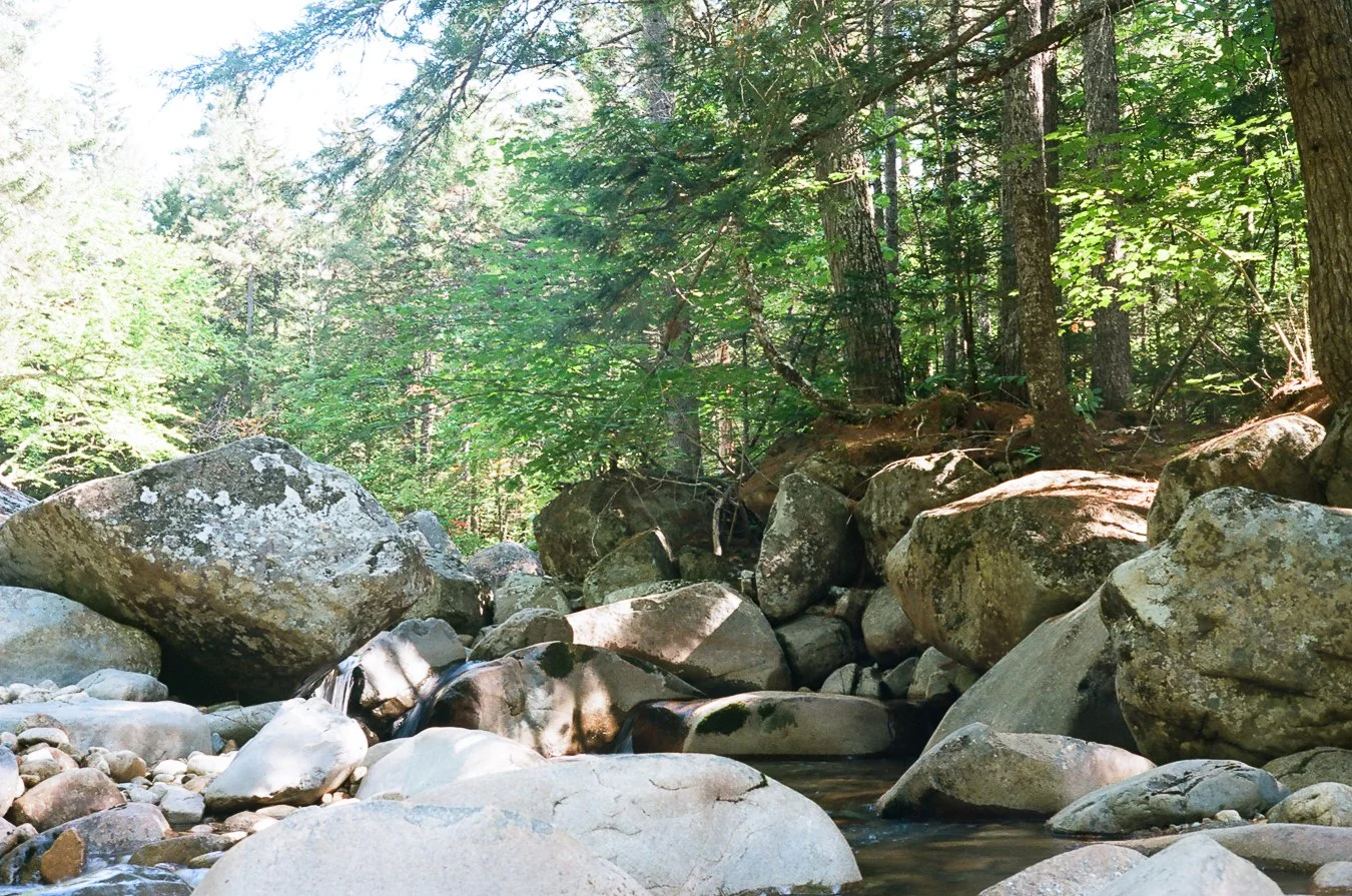 mountainpond-3.jpg