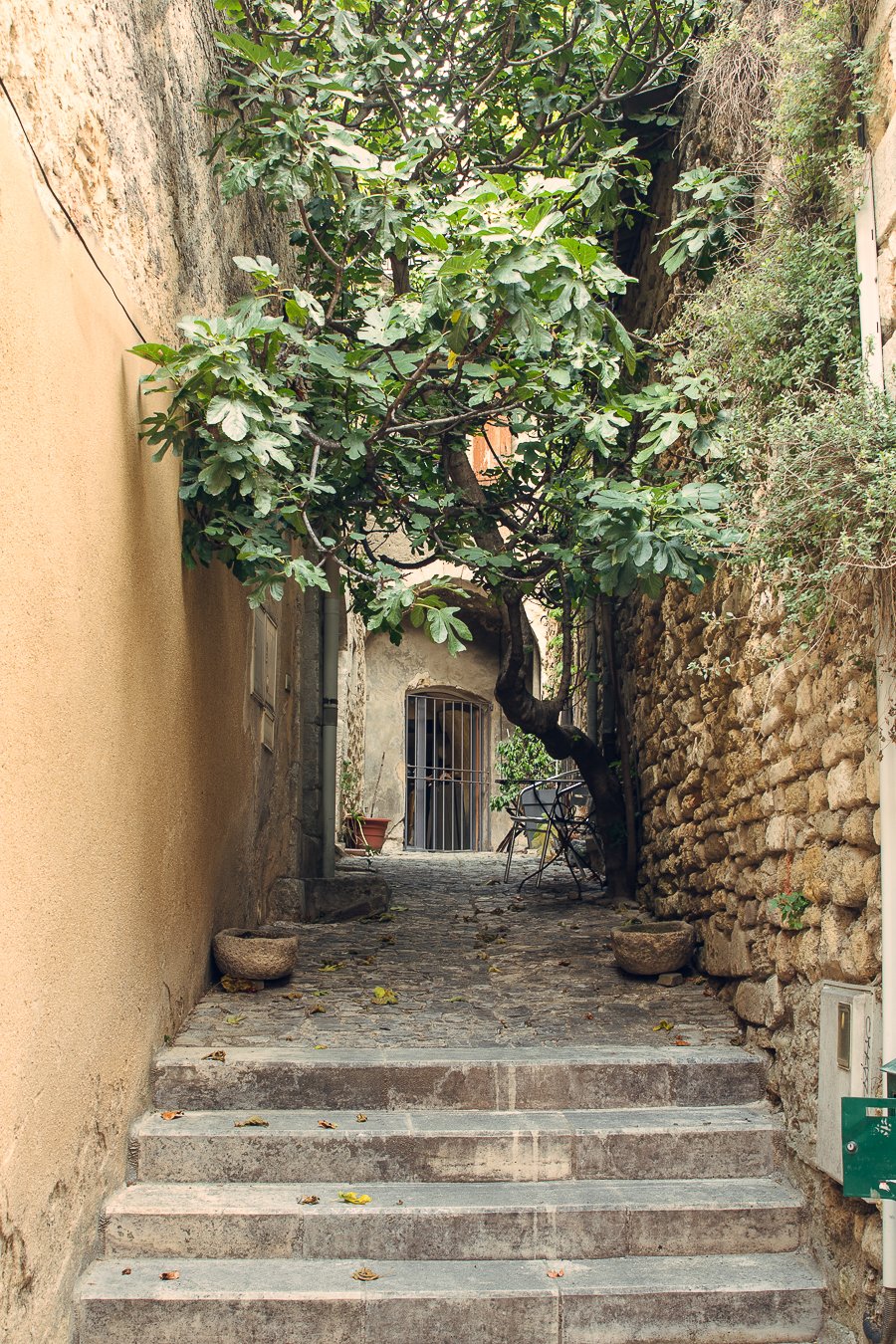 provence21-22.jpg