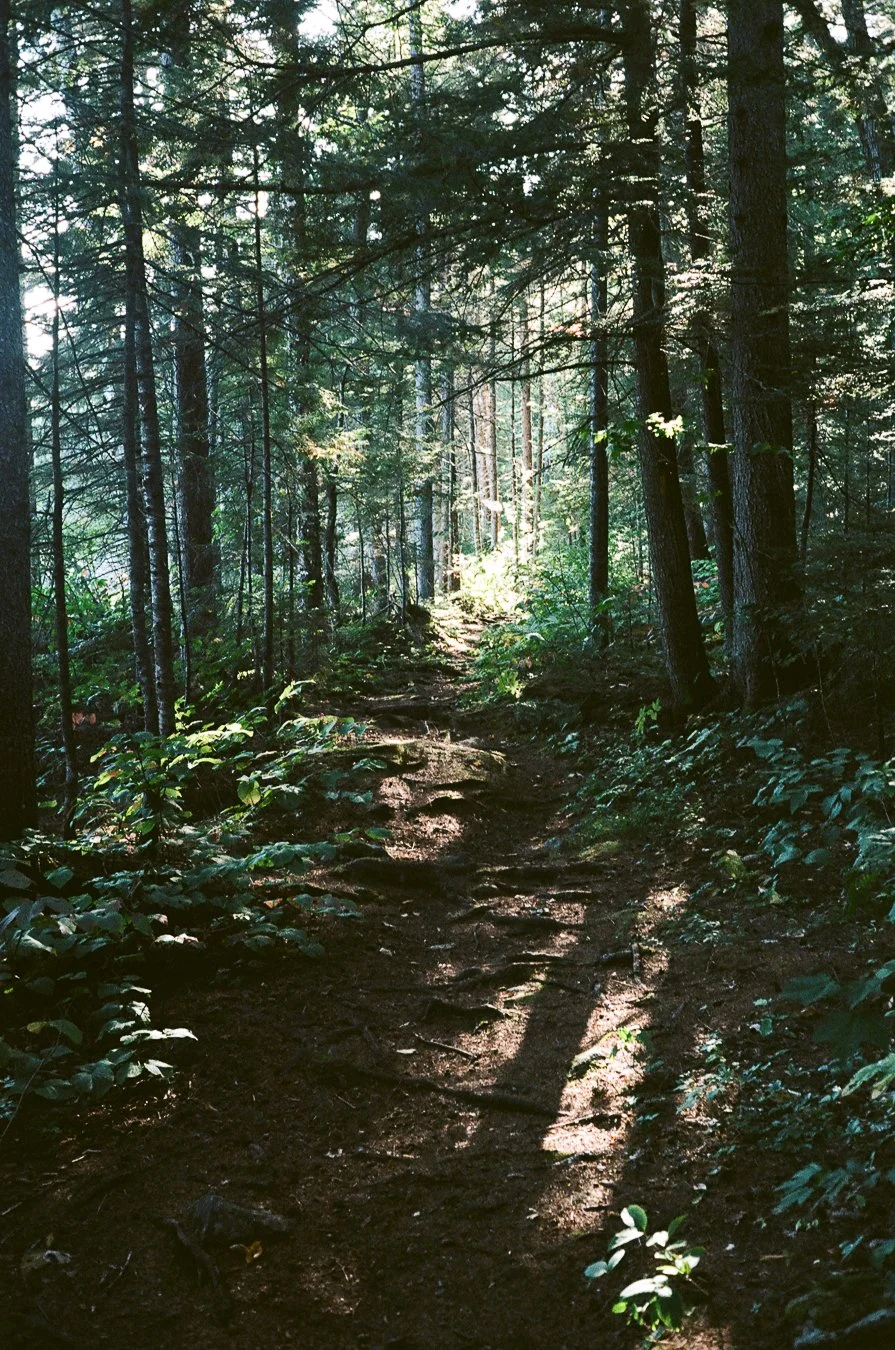 mountainpond-17.jpg