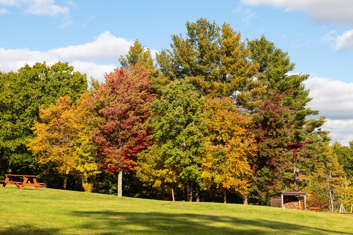 foliage2021-2.jpg