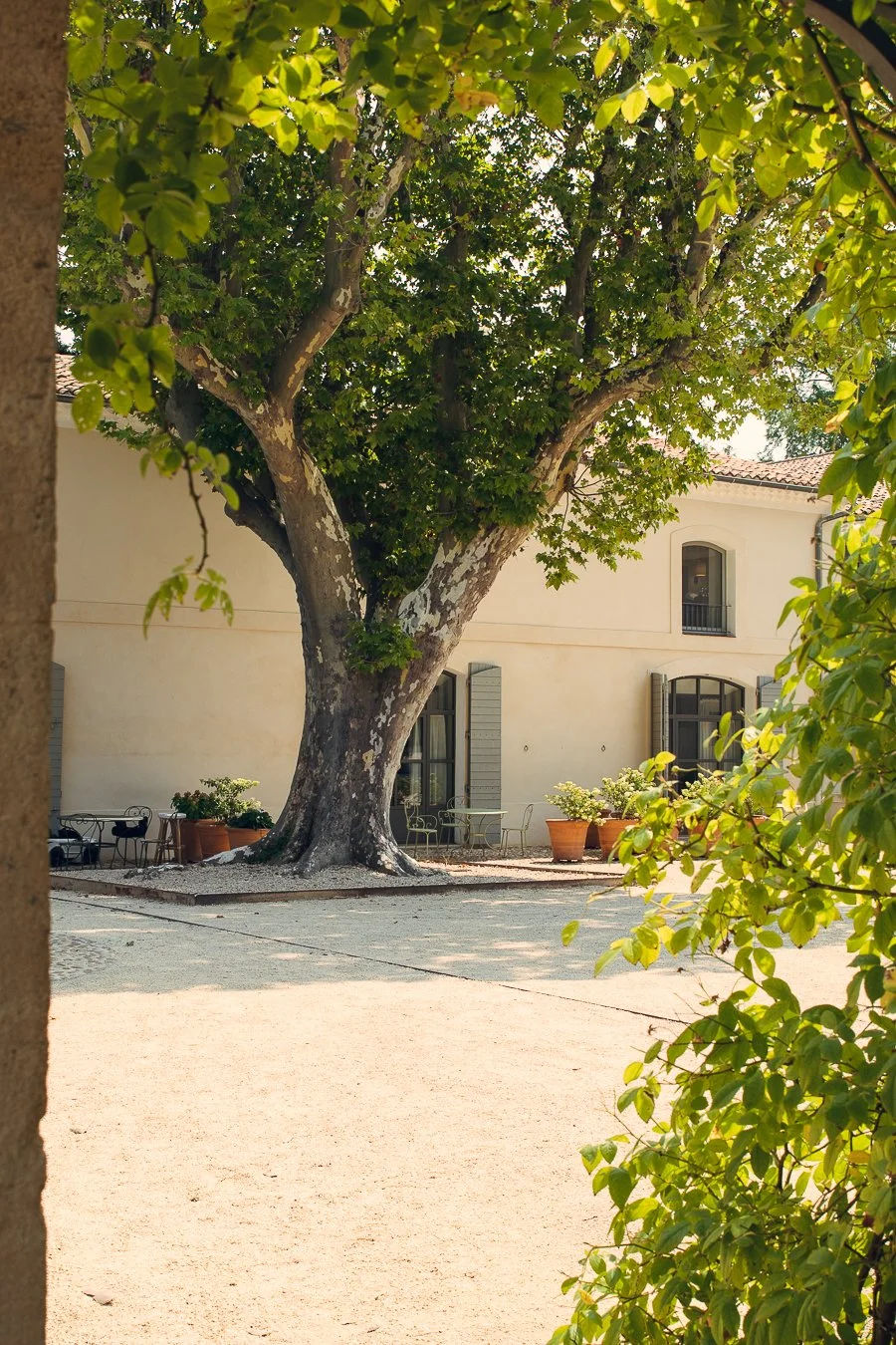 provence21-3.jpg