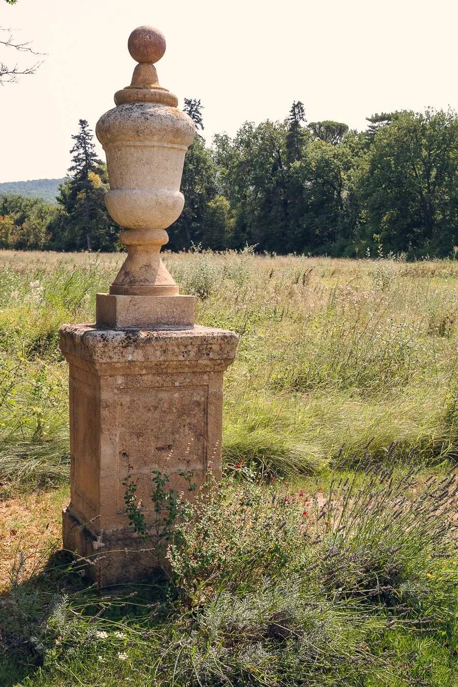 provence21-4.jpg