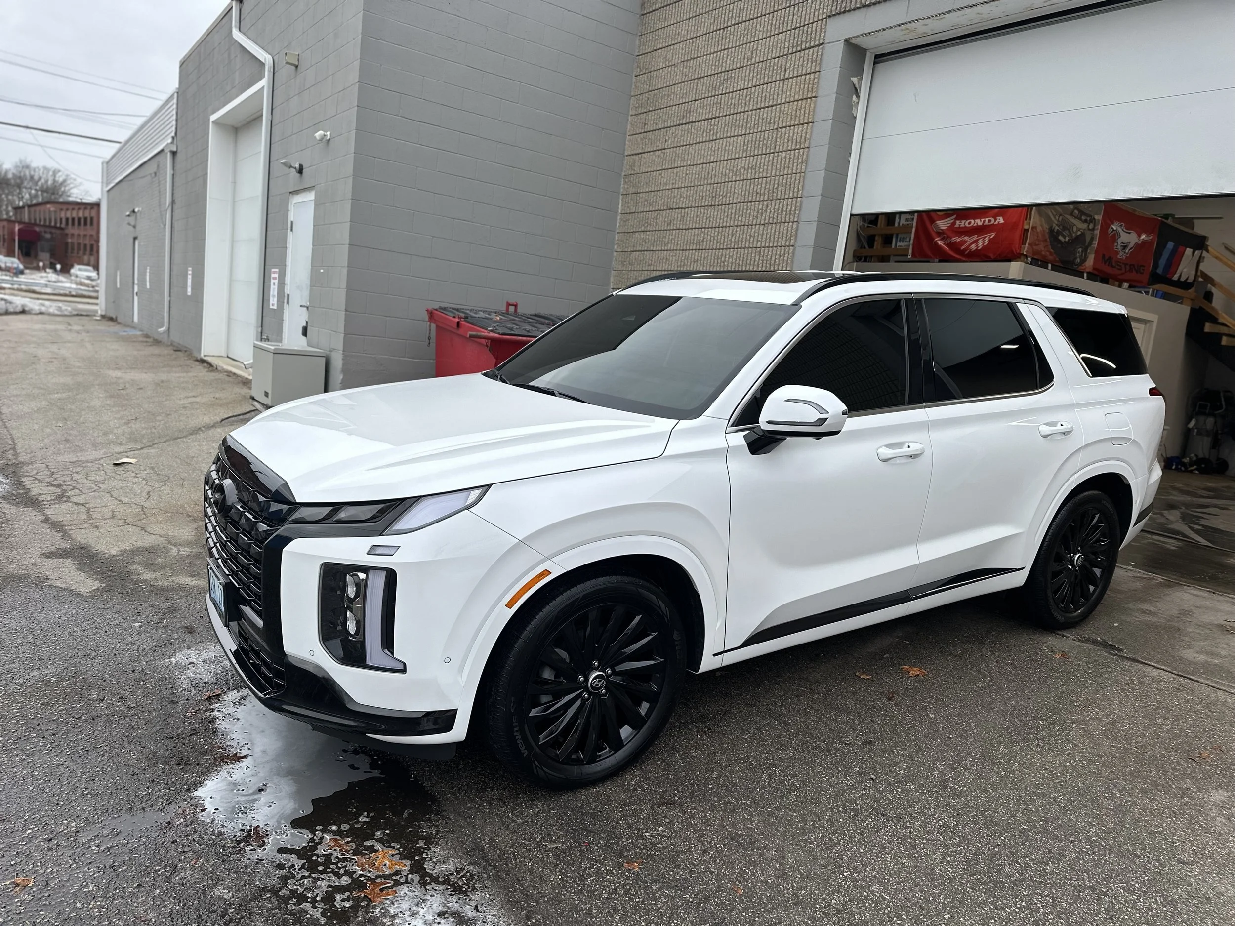 Palisade tinted all around