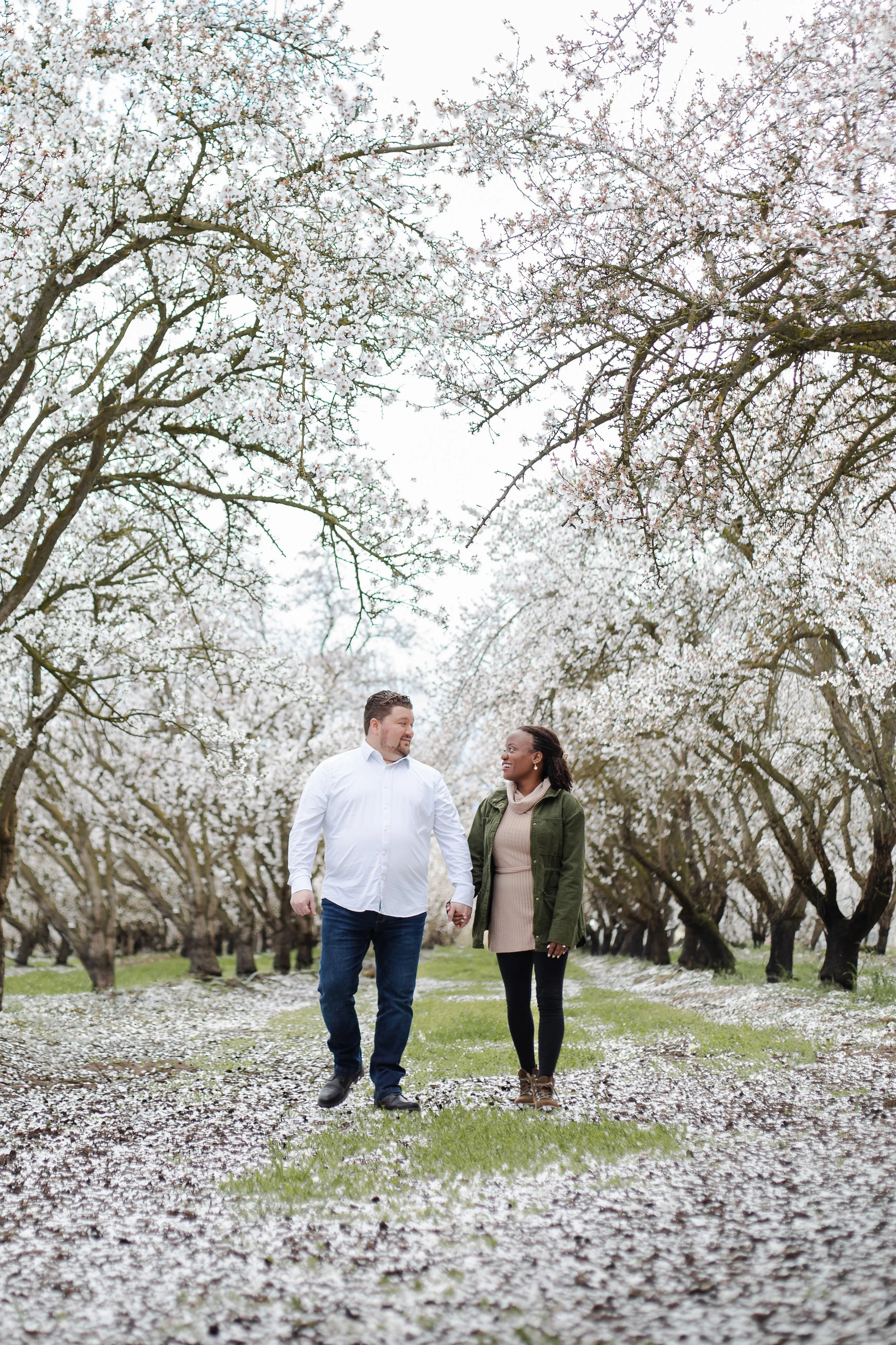 A couple walks along a grass path with fallen cherry bloom petals and they are surrounded with almond trees that bloomed with white flowers. The couple hold hands and look at each other happily while wearing casual but warm clothes.