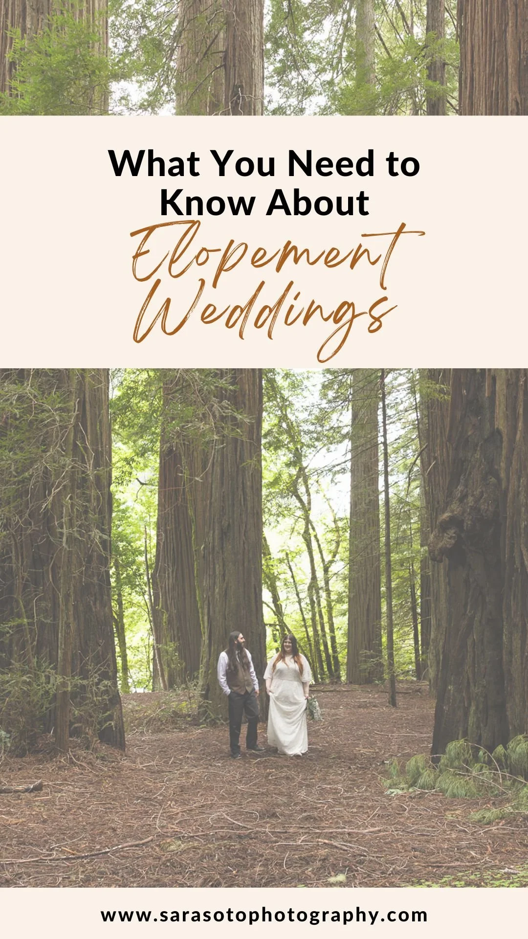 Couple elopes in the redwoods in California after they find out what an elopement is