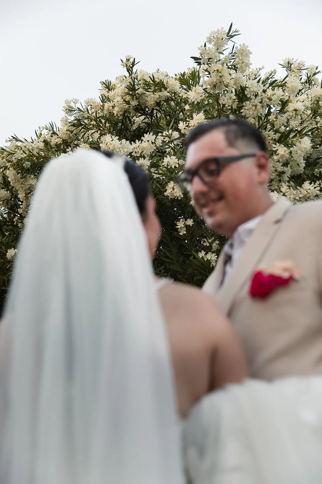 A couple stares at each other and they stand in front of a blooming tree. They are blurred out and the focus is on the tree behind them. She wears a white veil and he wears a tan suit and glasses