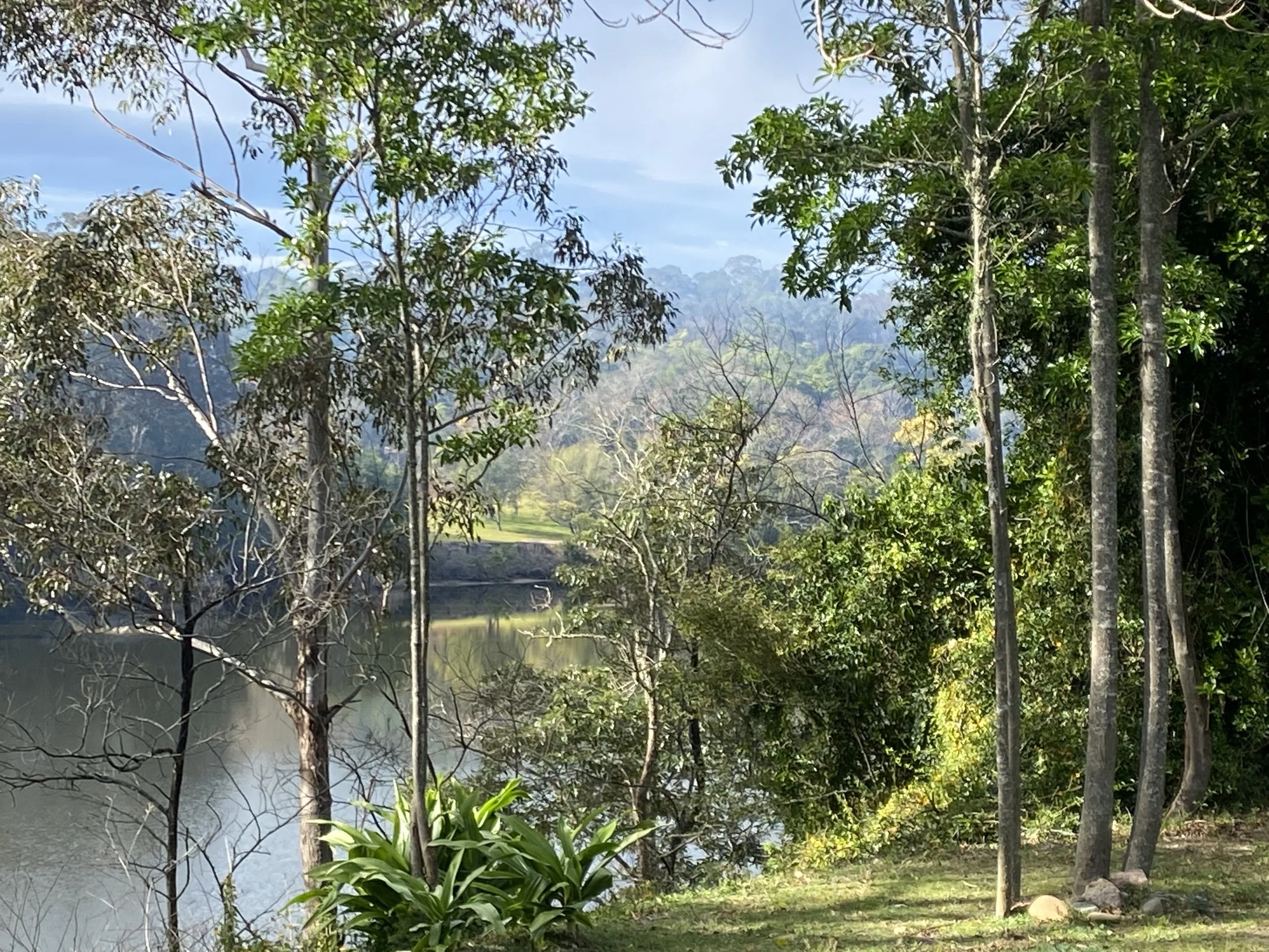 The Mighty Shoalhaven