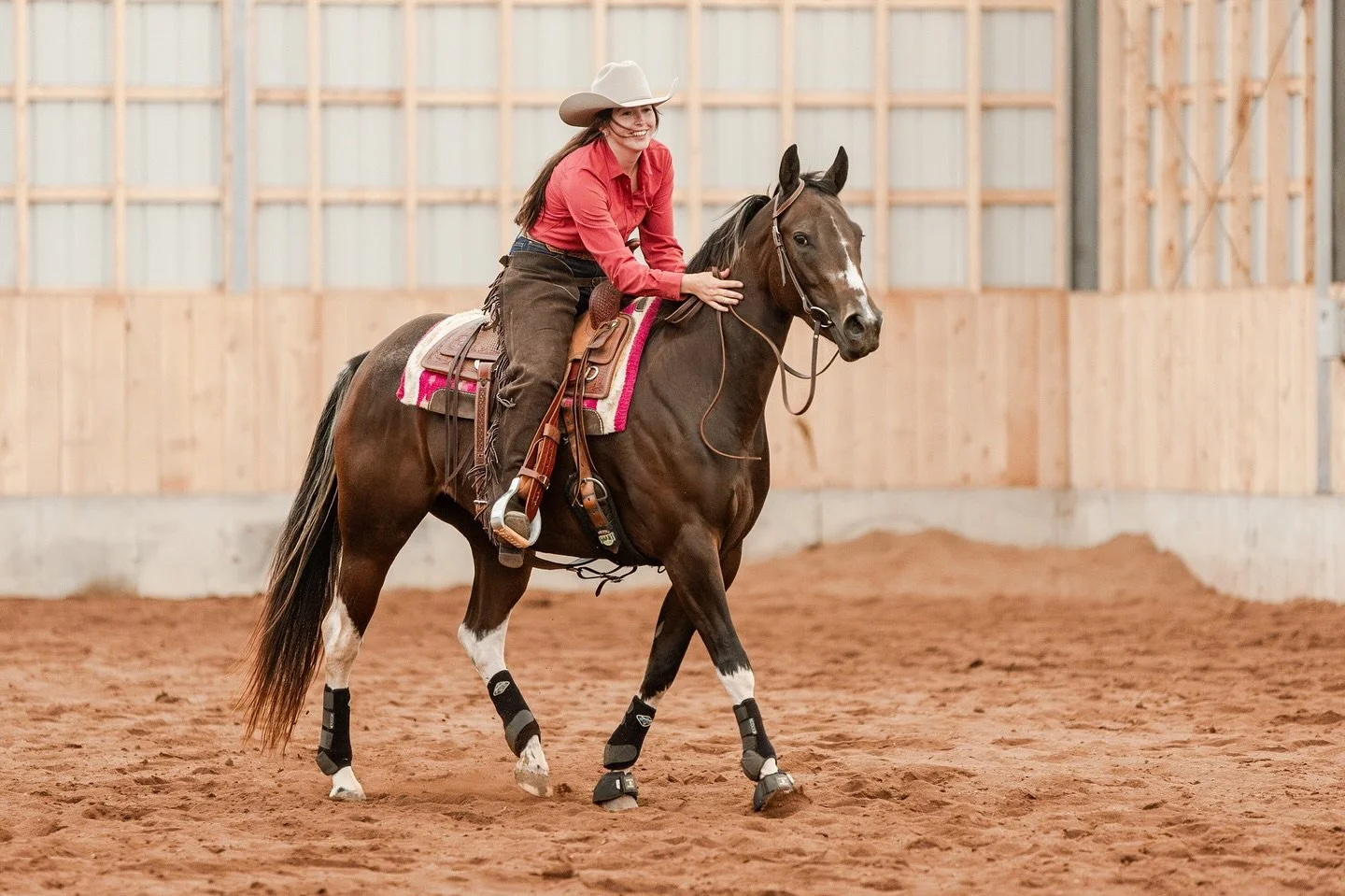 𝐍𝐞𝐰 𝐒𝐡𝐨𝐰 𝐀𝐧𝐧𝐨𝐮𝐧𝐜𝐞𝐦𝐞𝐧𝐭 📢 
Get ready, Hants County exhibitors: the Fall Finale on October 10-12 has been freshly added to my calendar, and I&rsquo;ll be in Windsor as your official photographer in just a few weeks 🤩

Full arena cov