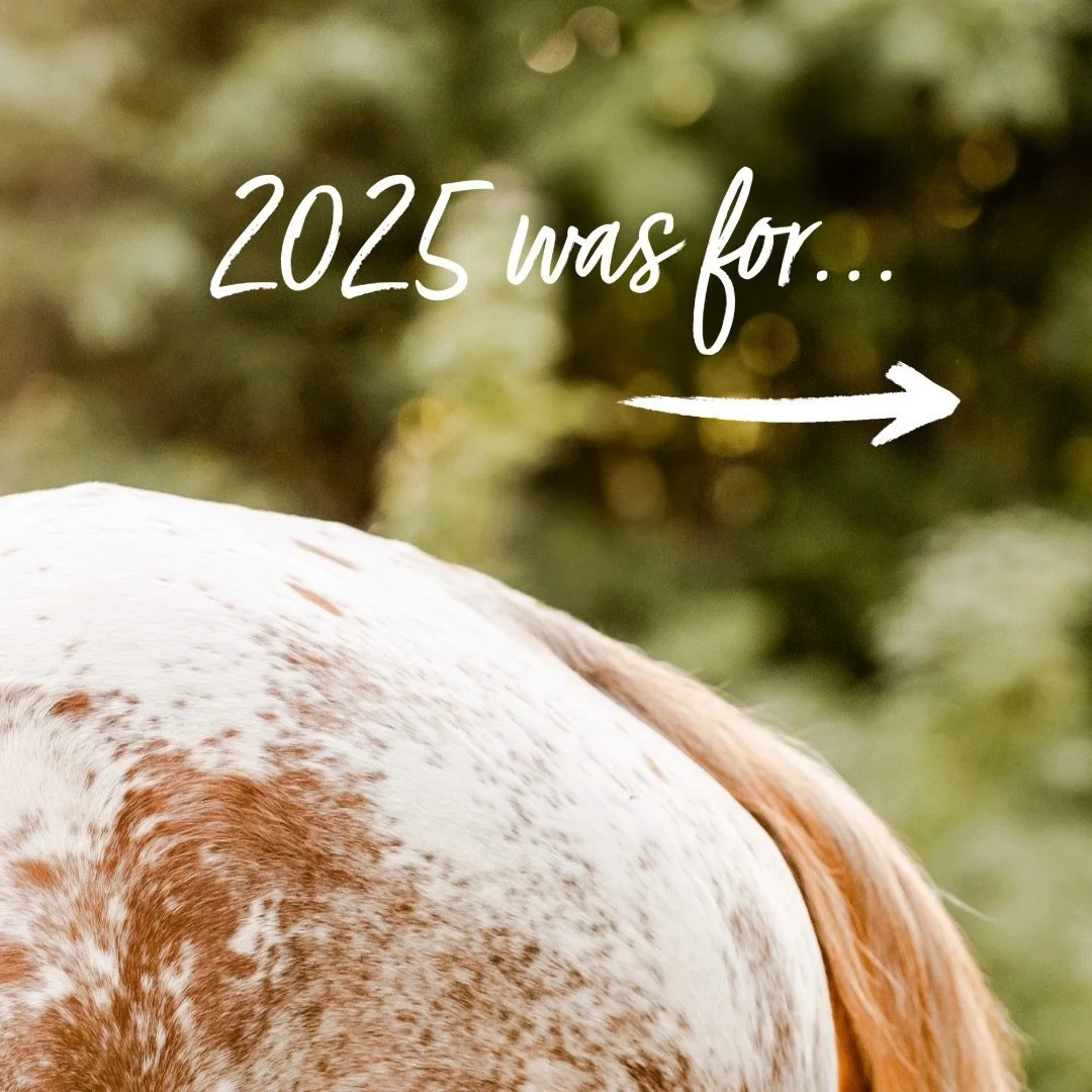 2025 was more about slowing down and learning how to breathe, rather than smashing goals and hitting milestones, but I think that was exactly what I needed this year. 
Happy new year friends, see you all in 2026 with bigger and better things to come 