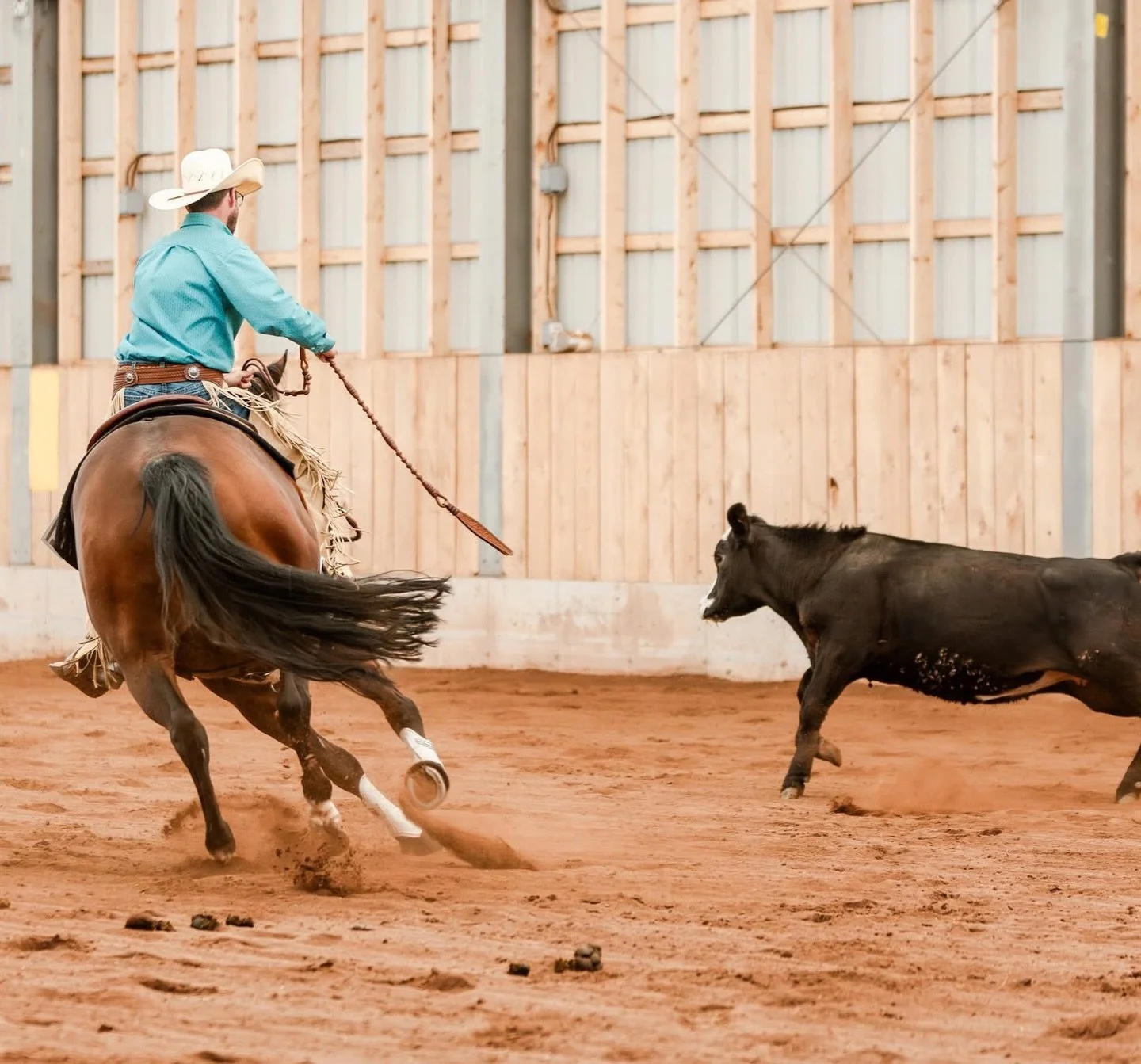 𝐍𝐎𝐖 𝐁𝐎𝐎𝐊𝐈𝐍𝐆 𝟐𝟎𝟐𝟔 𝐒𝐇𝐎𝐖𝐒 🤍
Looking ahead into the year to come, I have room in my schedule to add a couple more horse shows to my calendar for official photographer contracts or private photo/video coverage.

Currently on my calenda