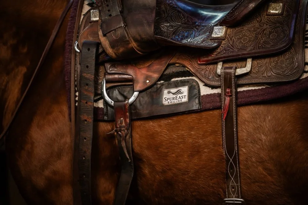 A very chilly Sunday spent in Amherst working with @spureastequine @rockinroantack to get some photos and videos of their products in action 🌊✨

I&rsquo;m having a blast getting to work with equine businesses and would love to add a few more content