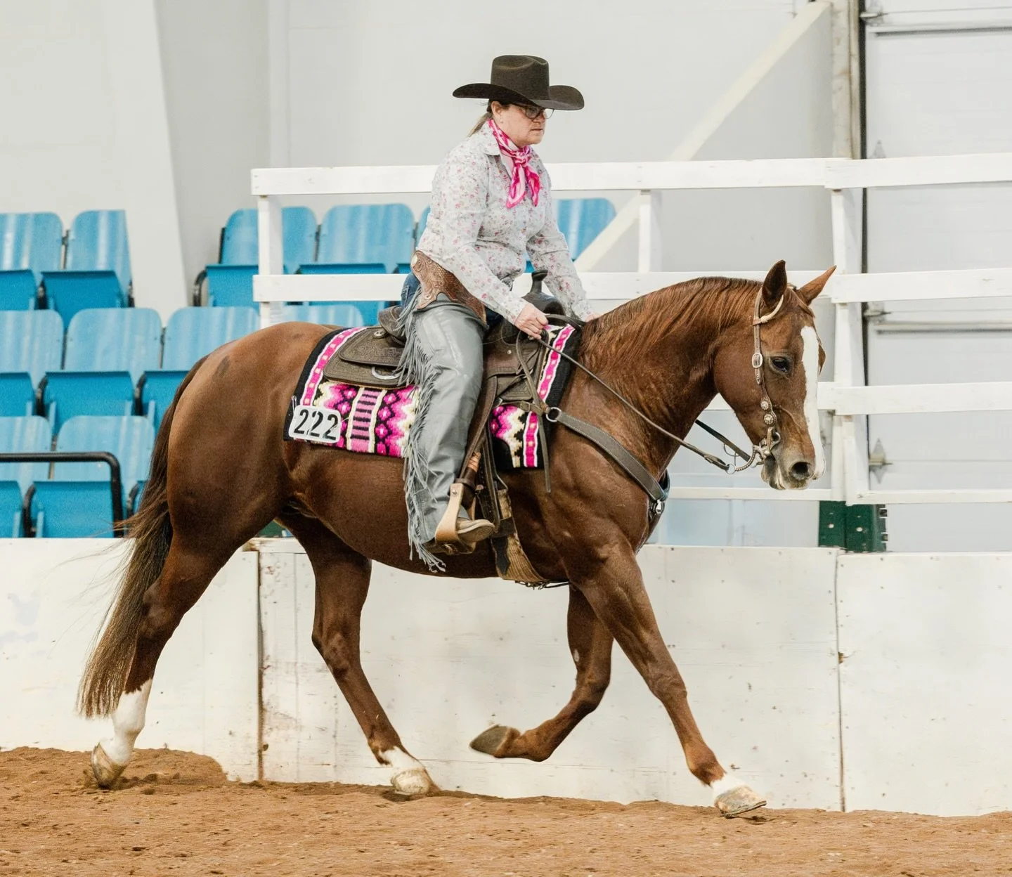 First day of spring means Spring Fling is right around the corner 🤩💐🌷
#horseshowphotographer #equinephotographer #hantscountyspringfling #equestrianlife #aqha