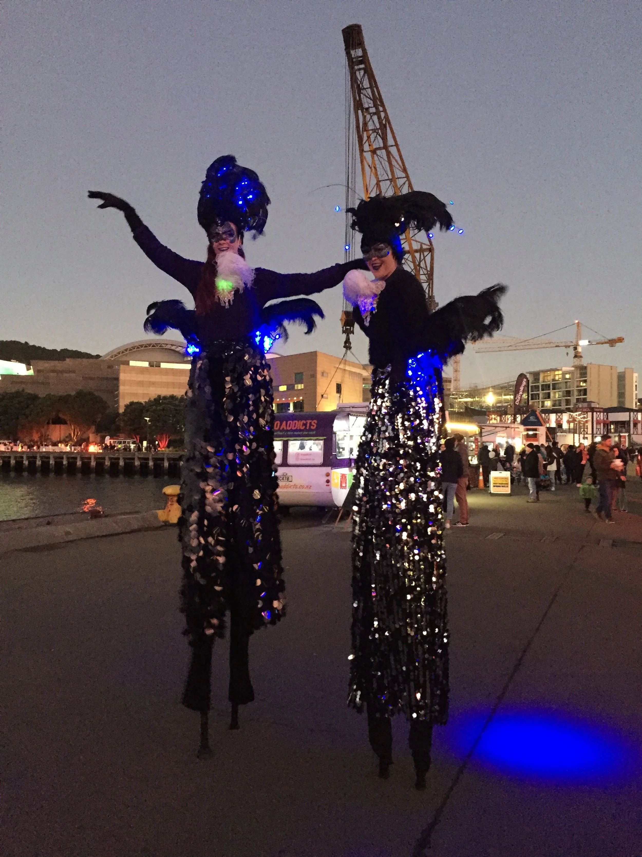 Wellington Matariki festival. 2018. Kiss the Ground Productions.