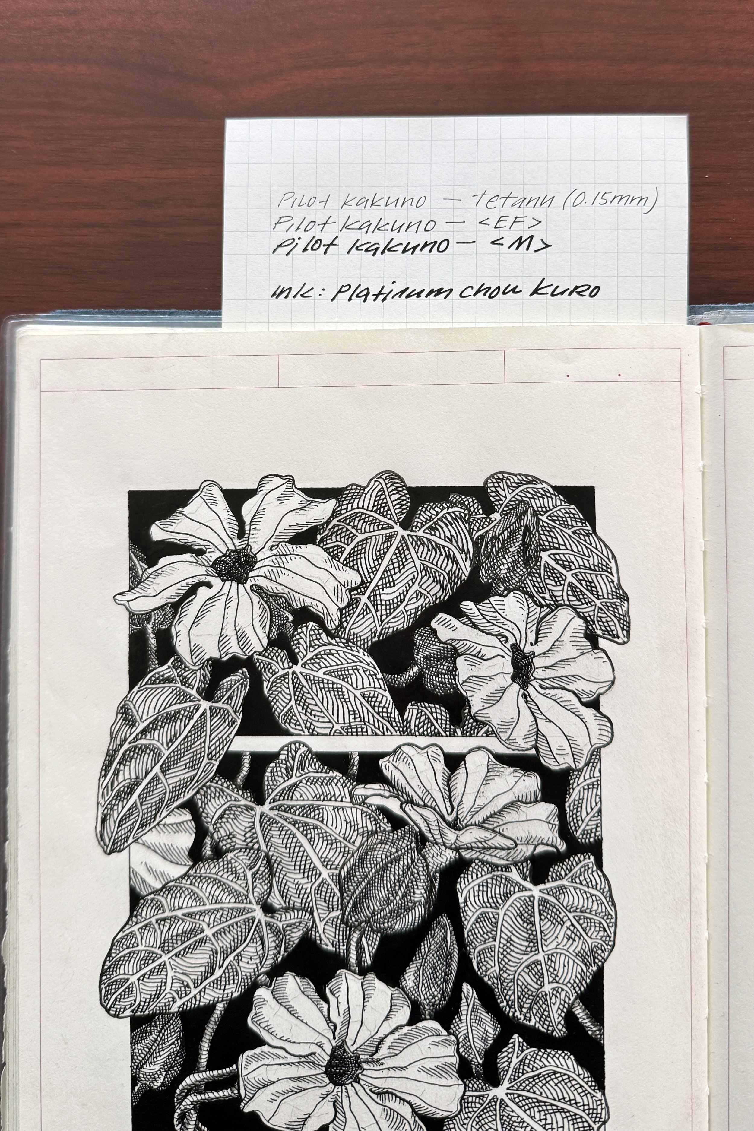 Pilot Kakuno Review: The Best Beginner Fountain Pen