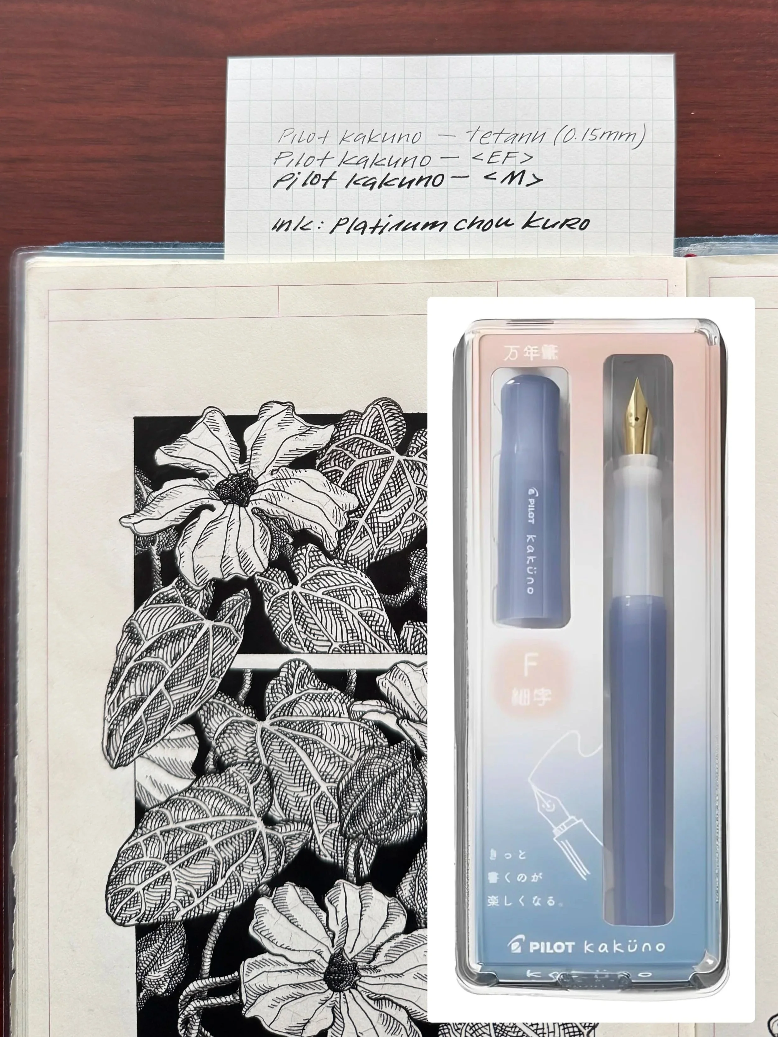 Pilot Kakuno Review: The Best Beginner Fountain Pen