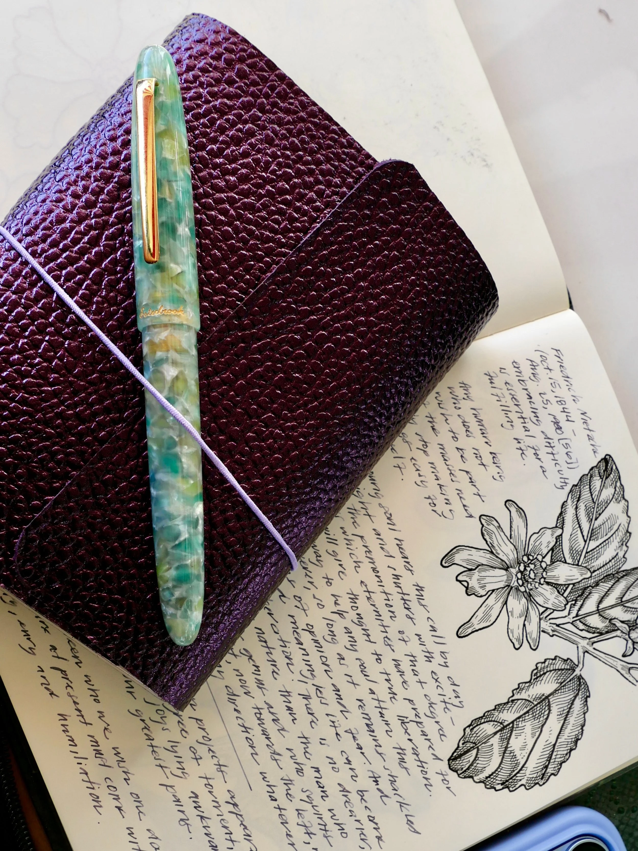Dear diary,

It&rsquo;s been two weeks since I picked up a pen to draw.

I wasn&rsquo;t sure how it would feel coming back to my sketchbook after being away.

A little rusty, maybe. A little unfamiliar.

But returning to my sketchbook is like coming 