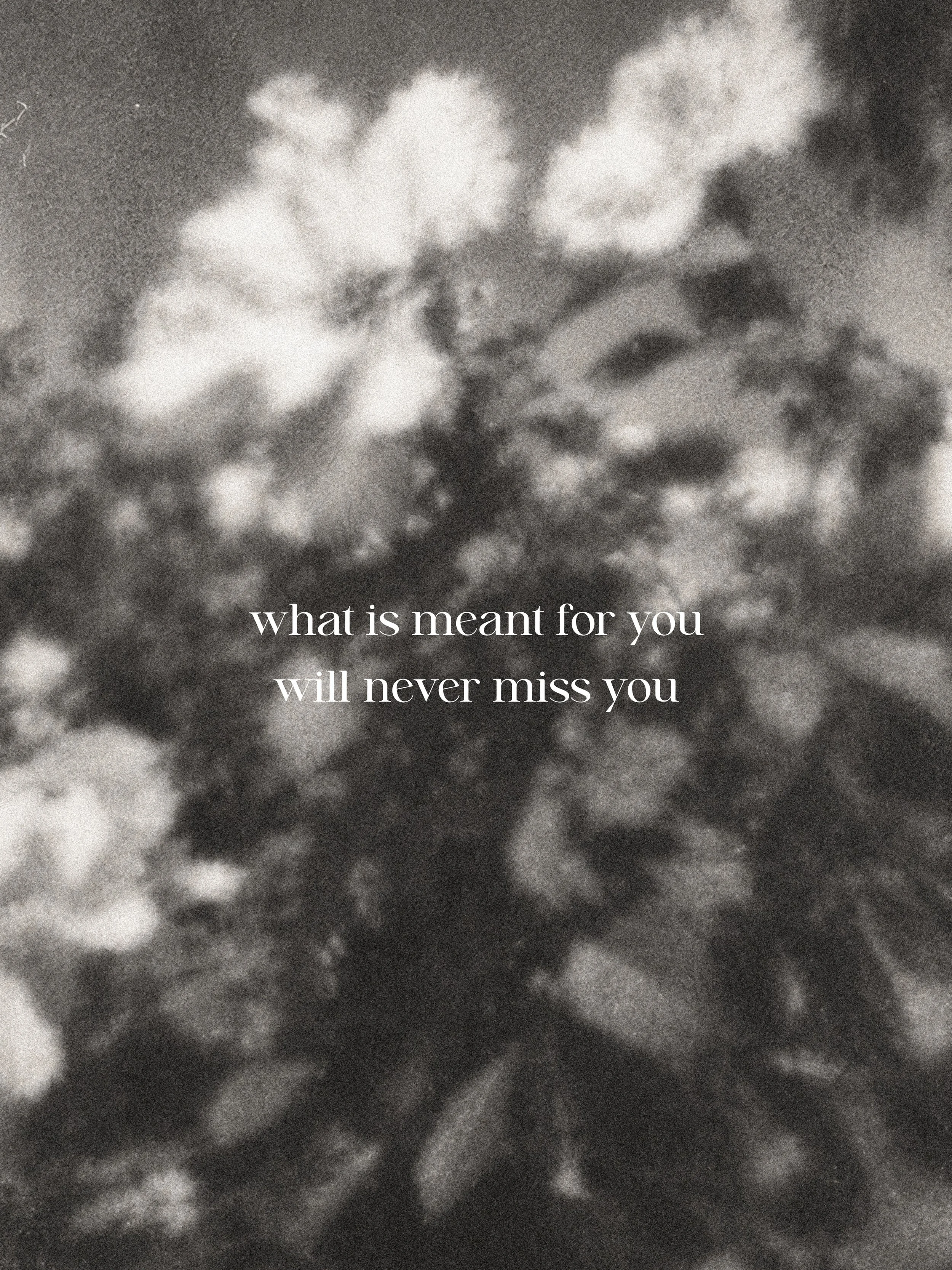 What if the thing meant for you is waiting on the other side of the risk you&rsquo;re afraid to take?

I&rsquo;ve been thinking a lot about how often we hold ourselves back. We hesitate to try, to reach, to make something that feels a little too ambi