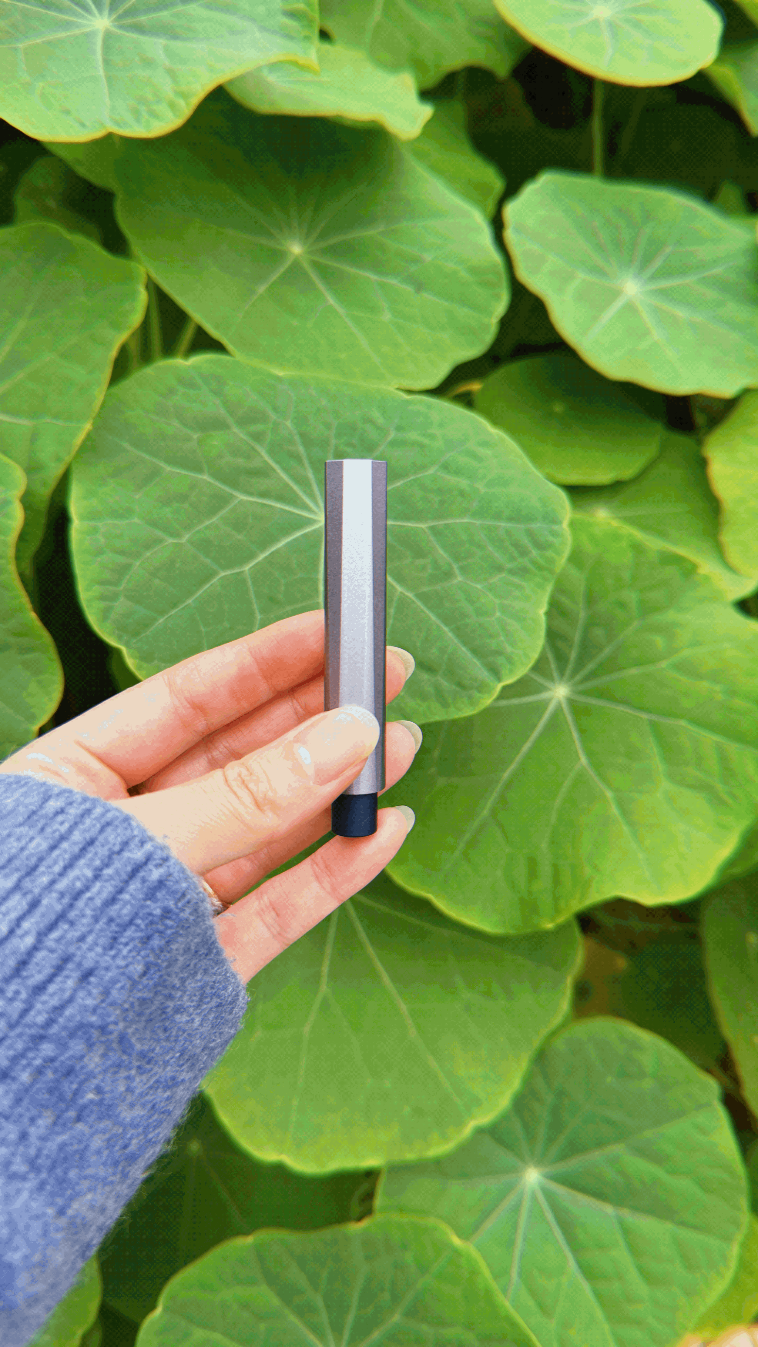 Tom’s Studio Wren Review: The Best Refillable Everyday Pen for Journaling