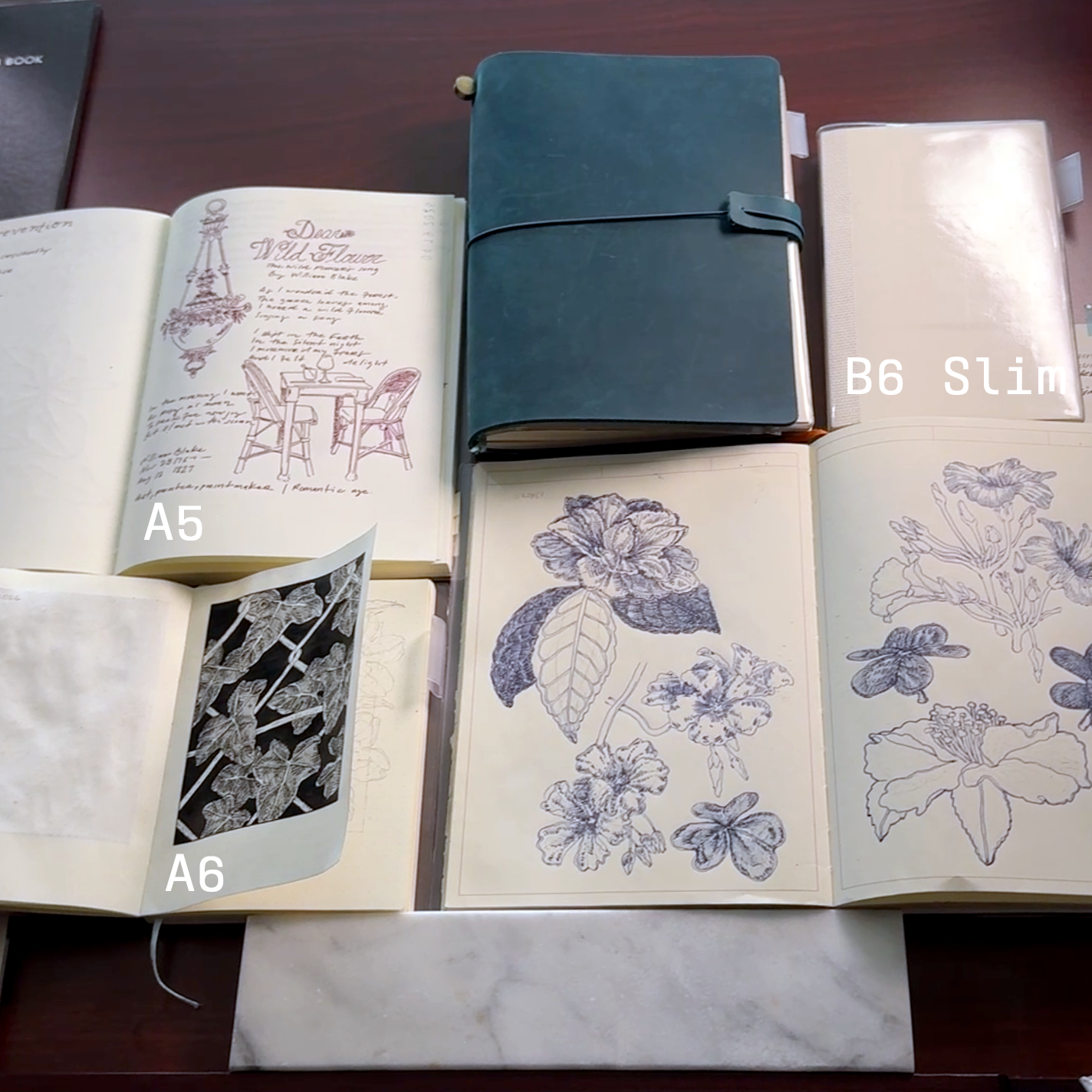 midori md notebook size comparison.png