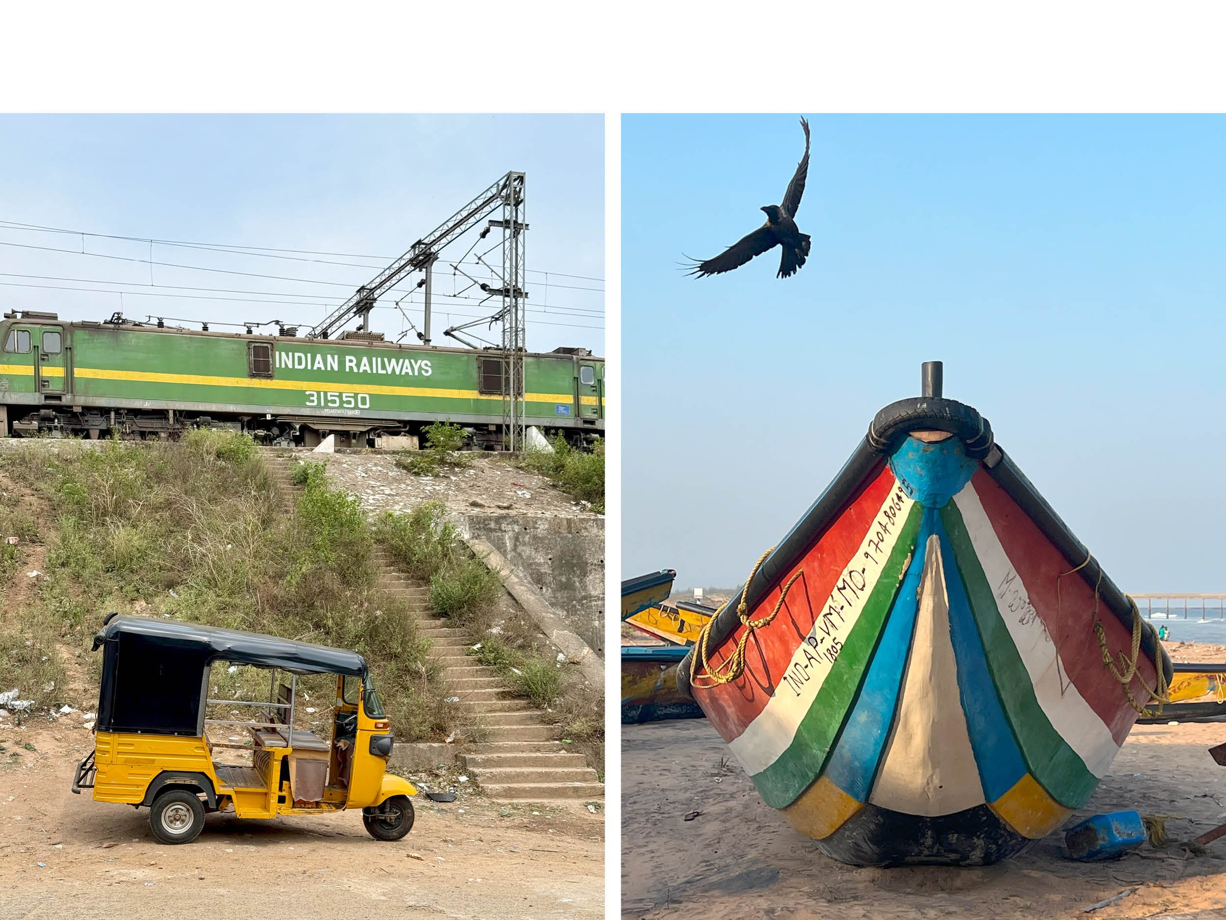 A collage of four images: top left shows a green Indian Railways train with overhead electric lines, the top right shows a black bird flying in a blue sky, the bottom left shows a yellow auto-rickshaw vehicle, and the bottom right shows a colorful bo